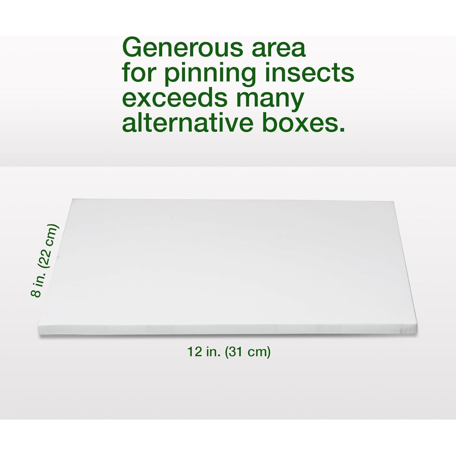 Caja de Clavado de Insectos Making It Work 33x23x6.4 cm