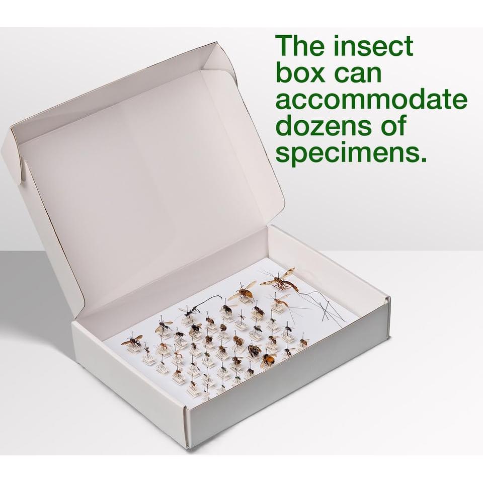 Caja de Clavado de Insectos Making It Work 33x23x6.4 cm