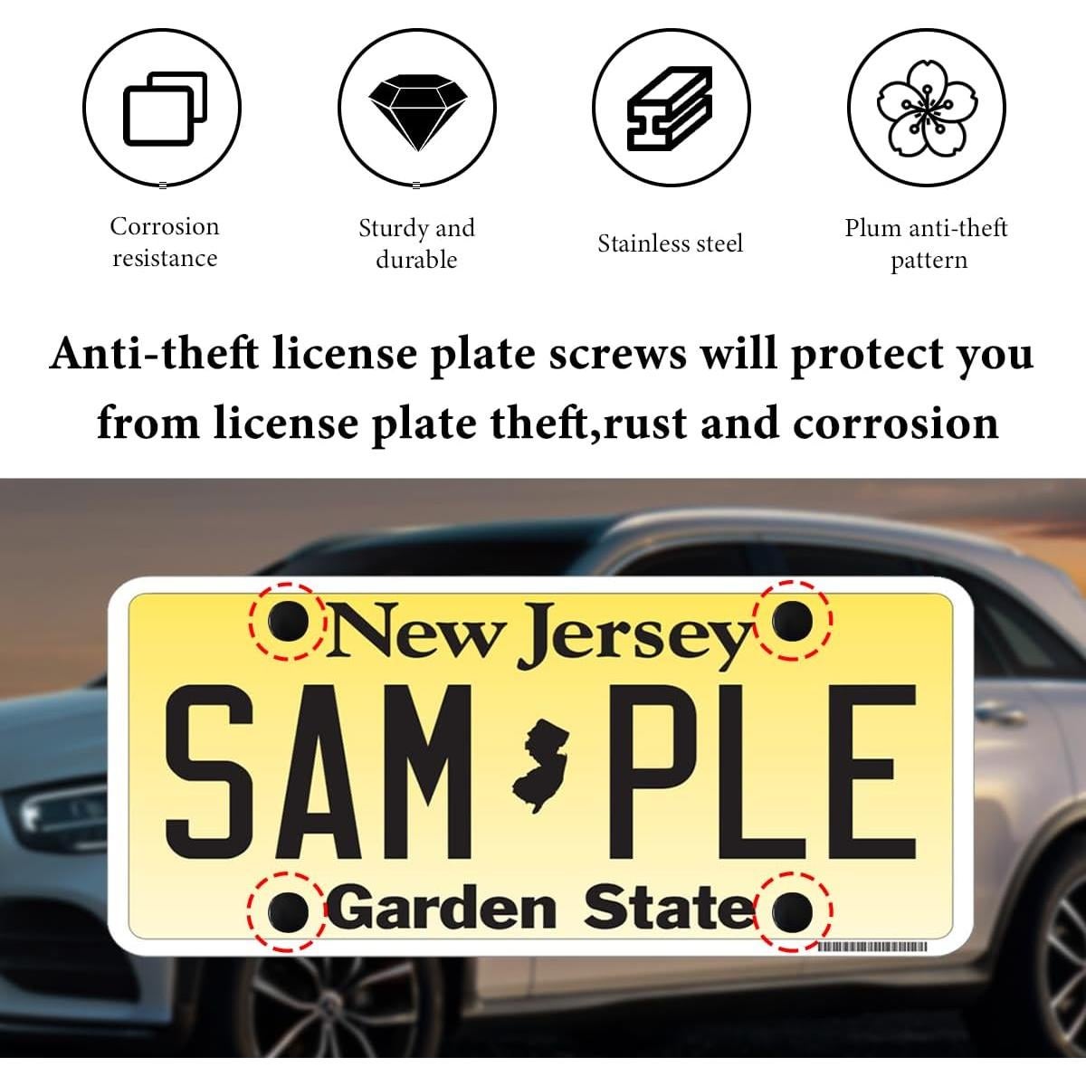 Kit de Tornillos Antirrobo para Placas de Licencia NYTKL M6