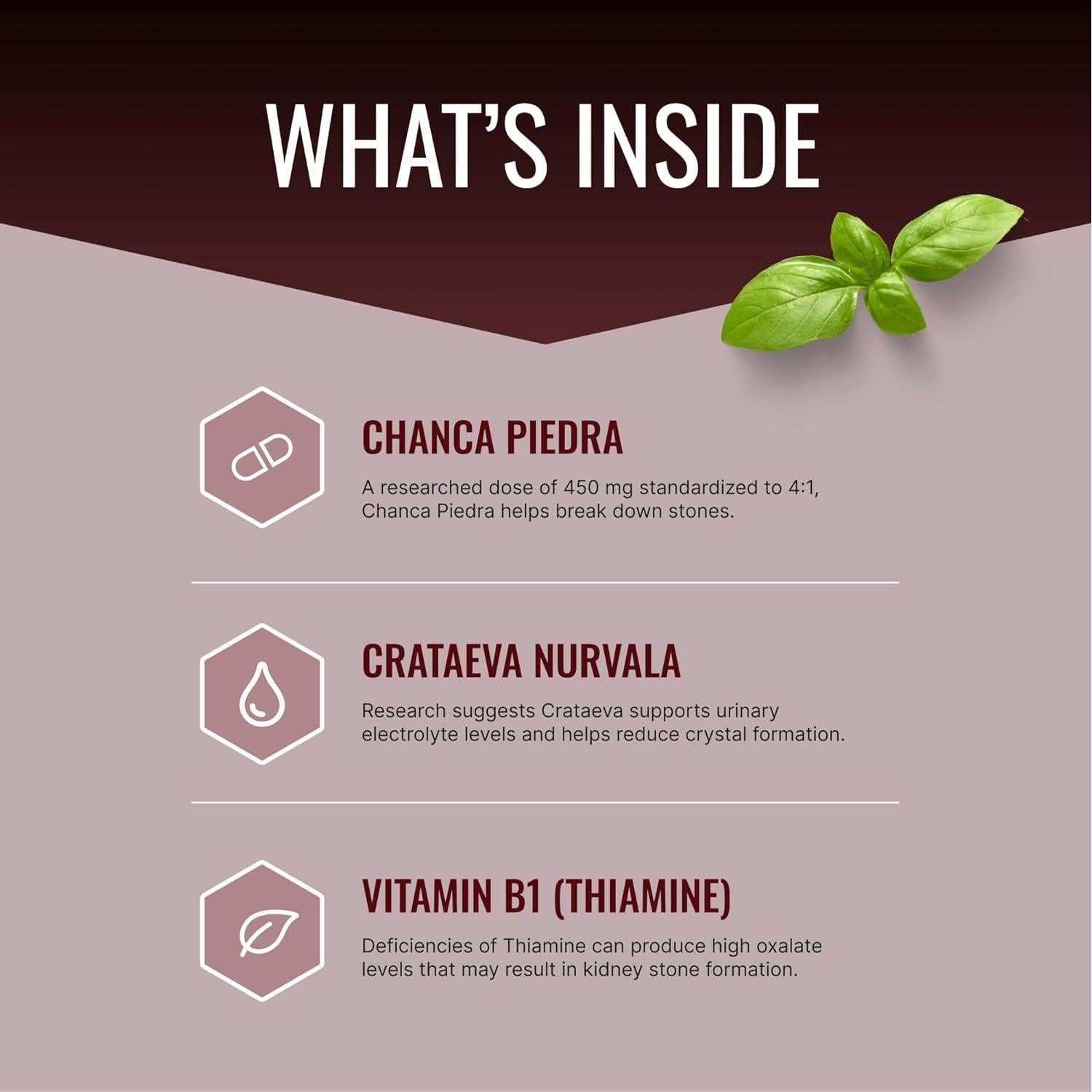 Stonexyl Approved Science - Suplemento Vegano para Riñones - 60 Cápsulas