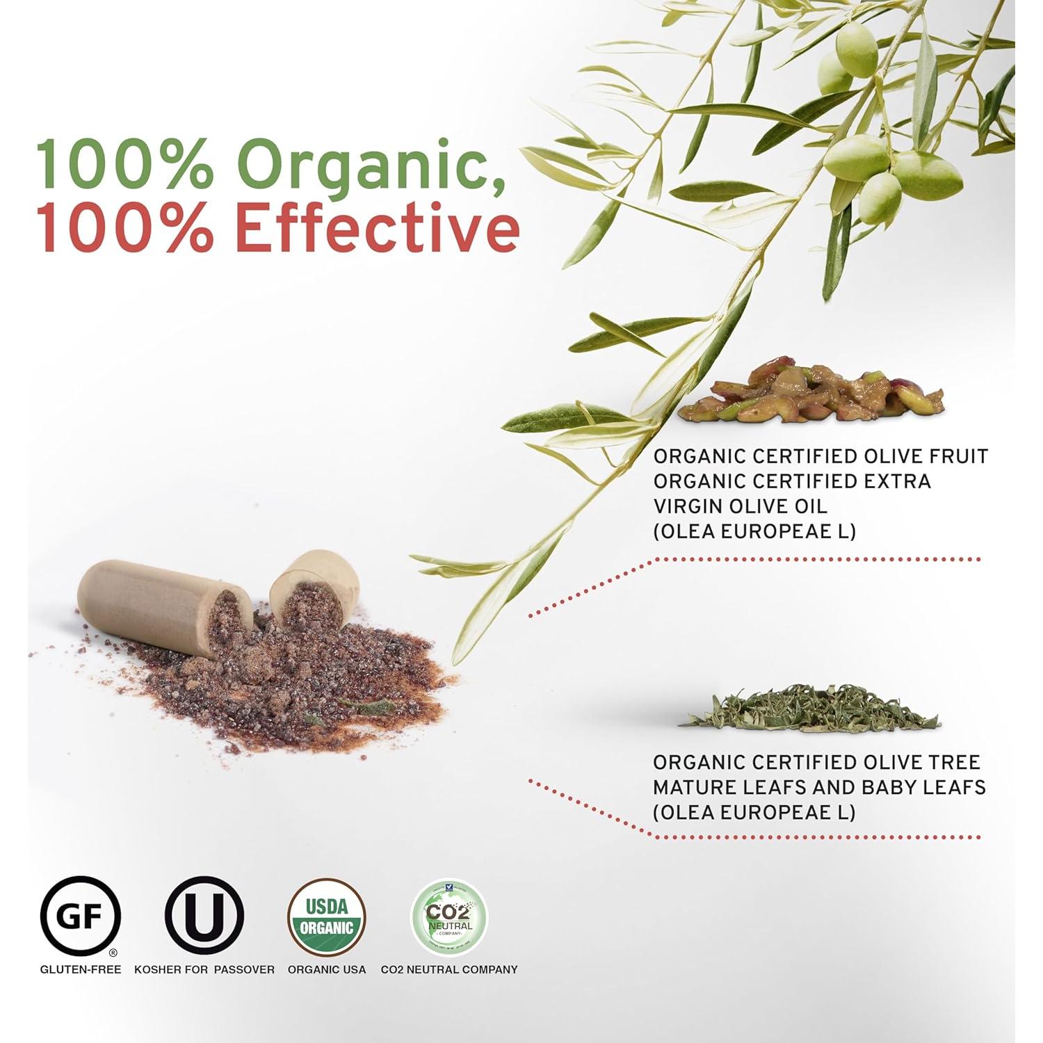 Cápsulas de Extracto de Hoja de Olivo Orgánico Olivie Force/Rich - 50 Cápsulas Antioxidantes