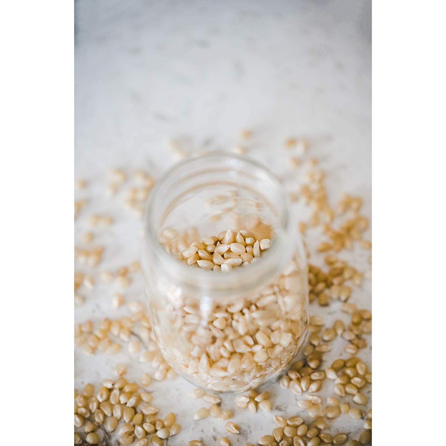 Palomitas de maíz gourmet Amish 24 paquetes 113.4g con aceite y sal