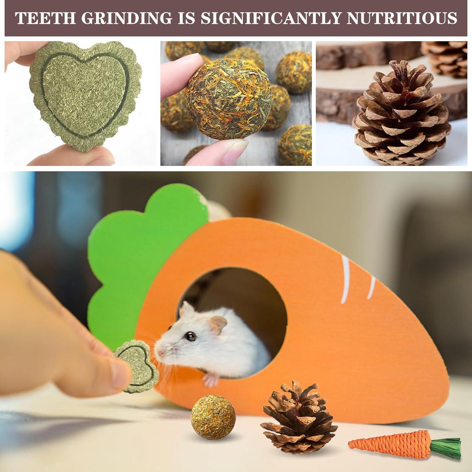 Juego de Juguetes para Hámster DINTSTYLE - 16 Accesorios Naturales