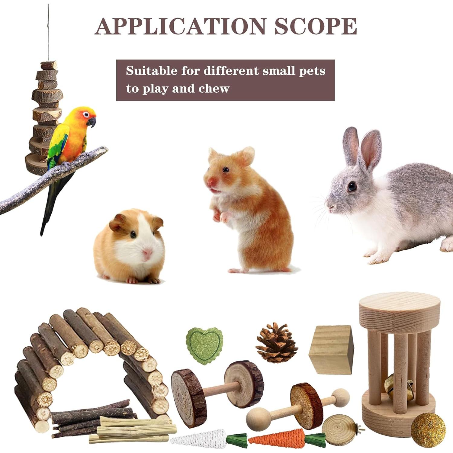 Juego de Juguetes para Hámster DINTSTYLE - 16 Accesorios Naturales