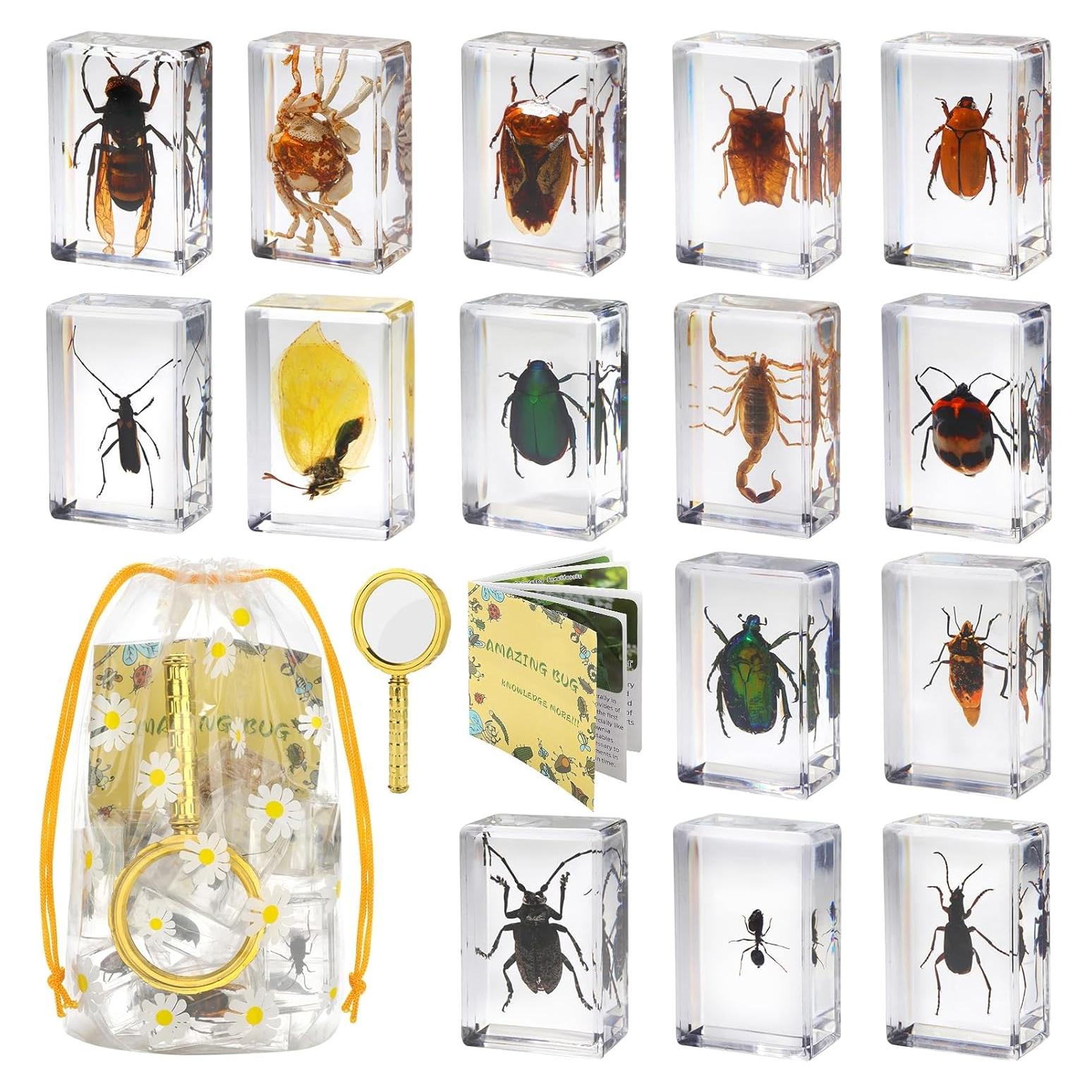 Conjunto de 15 Especímenes de Insectos en Resina BETENSH