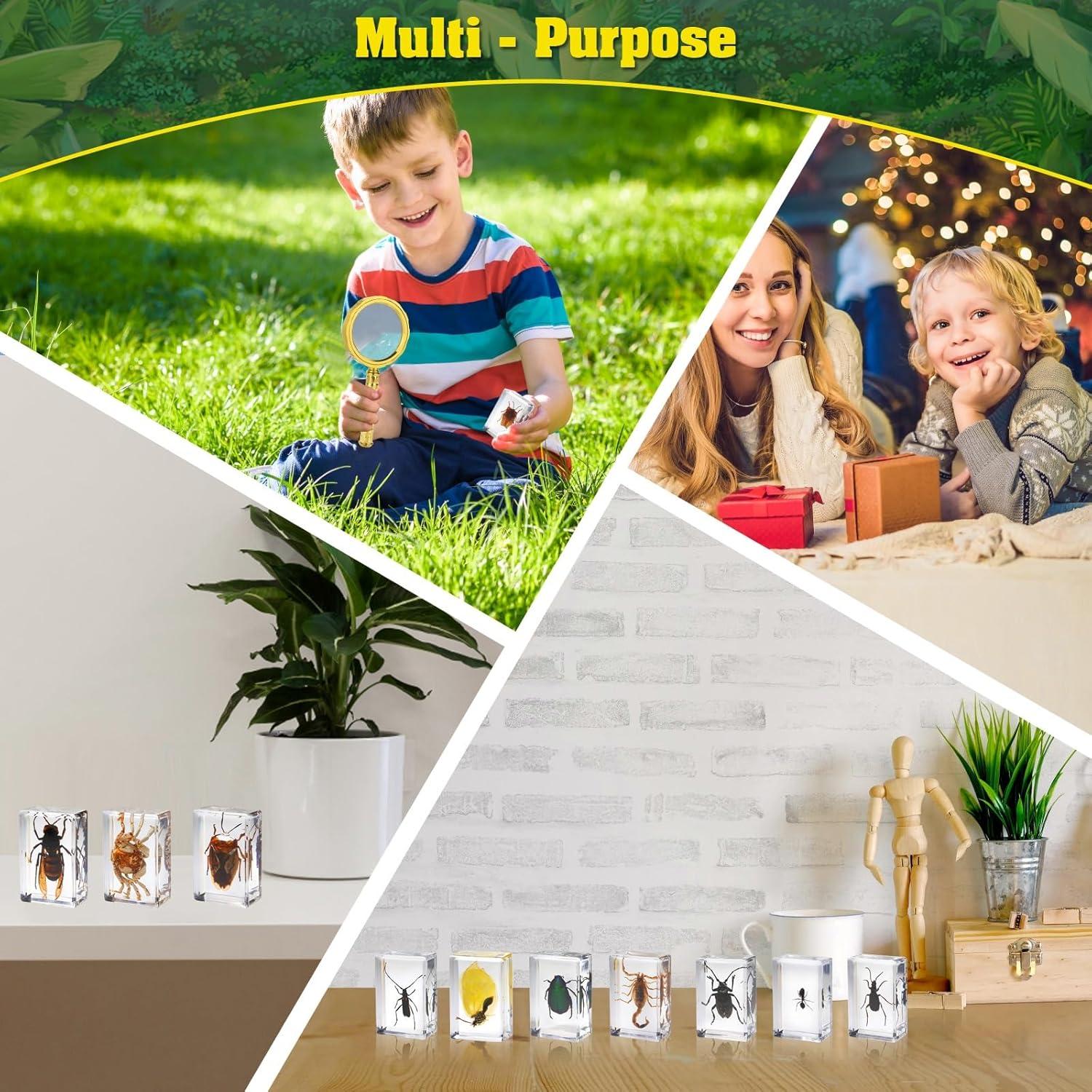 Conjunto de 15 Especímenes de Insectos en Resina BETENSH