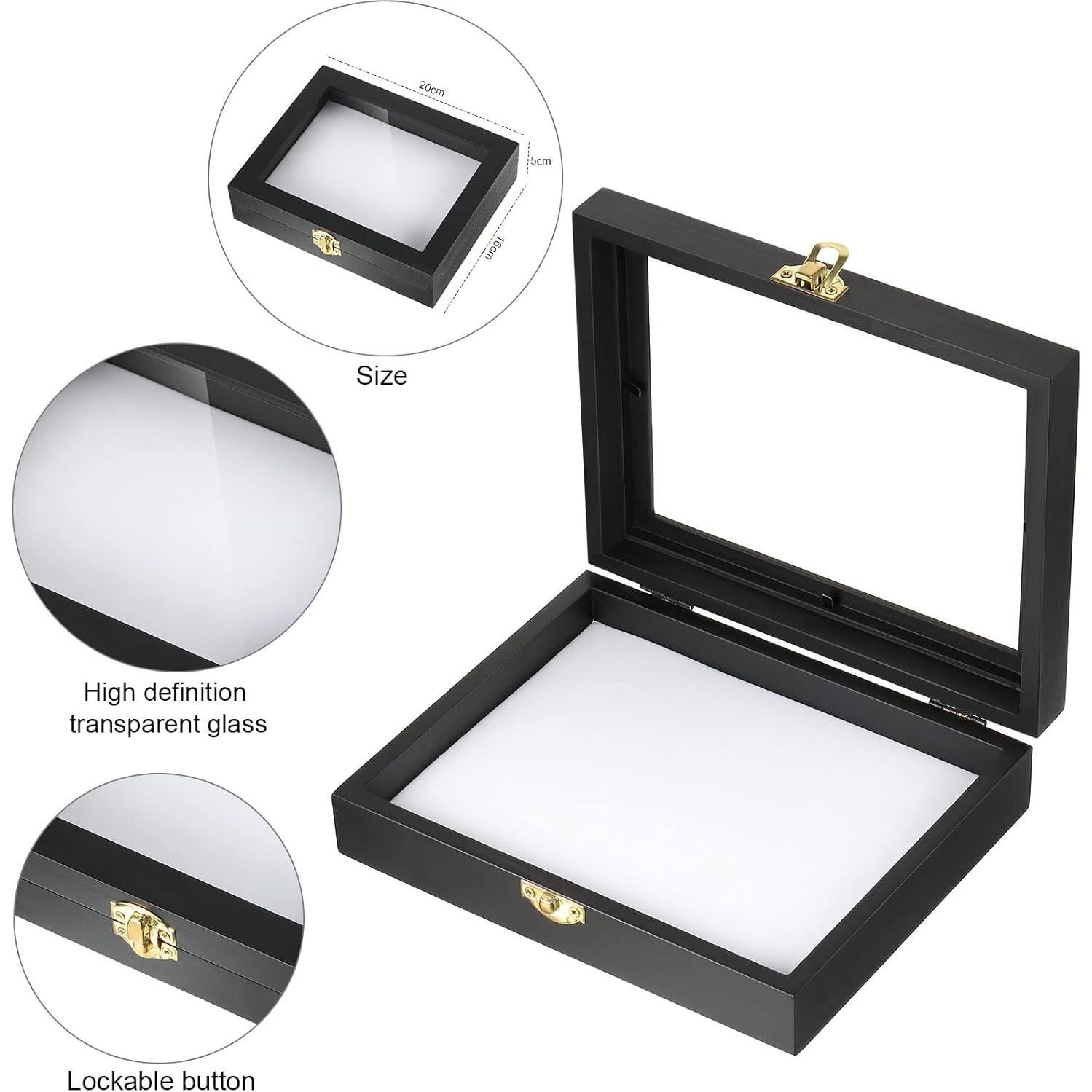 Caja de Exhibición de Insectos WILLBOND con Tapa Transparente