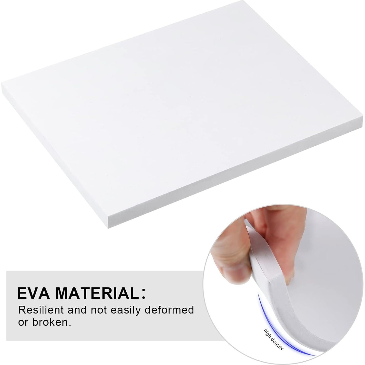 Caja de Exhibición de Insectos WILLBOND con Tapa Transparente