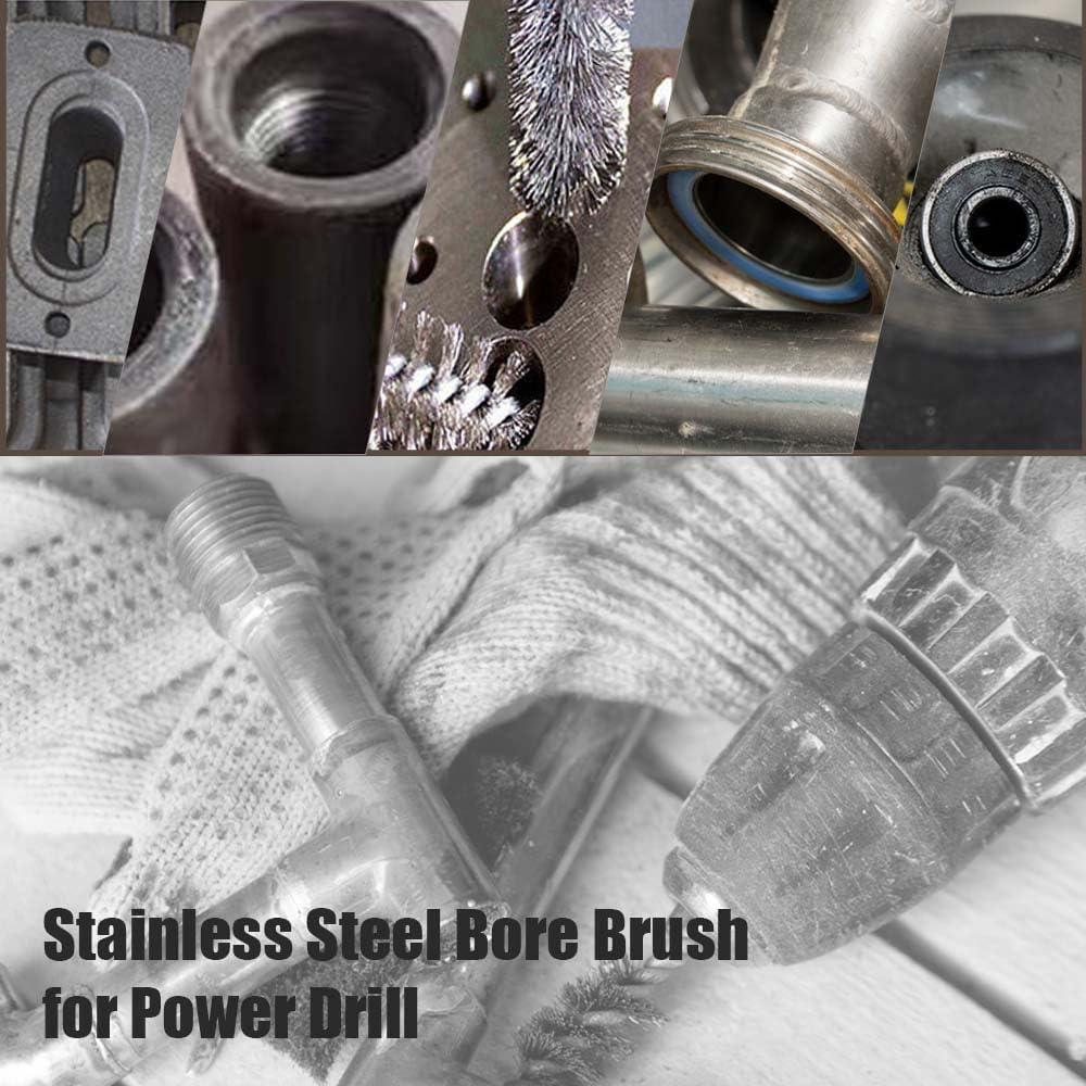 5 Piezas Cepillo de Acero Inoxidable Lehood 15mm 25mm