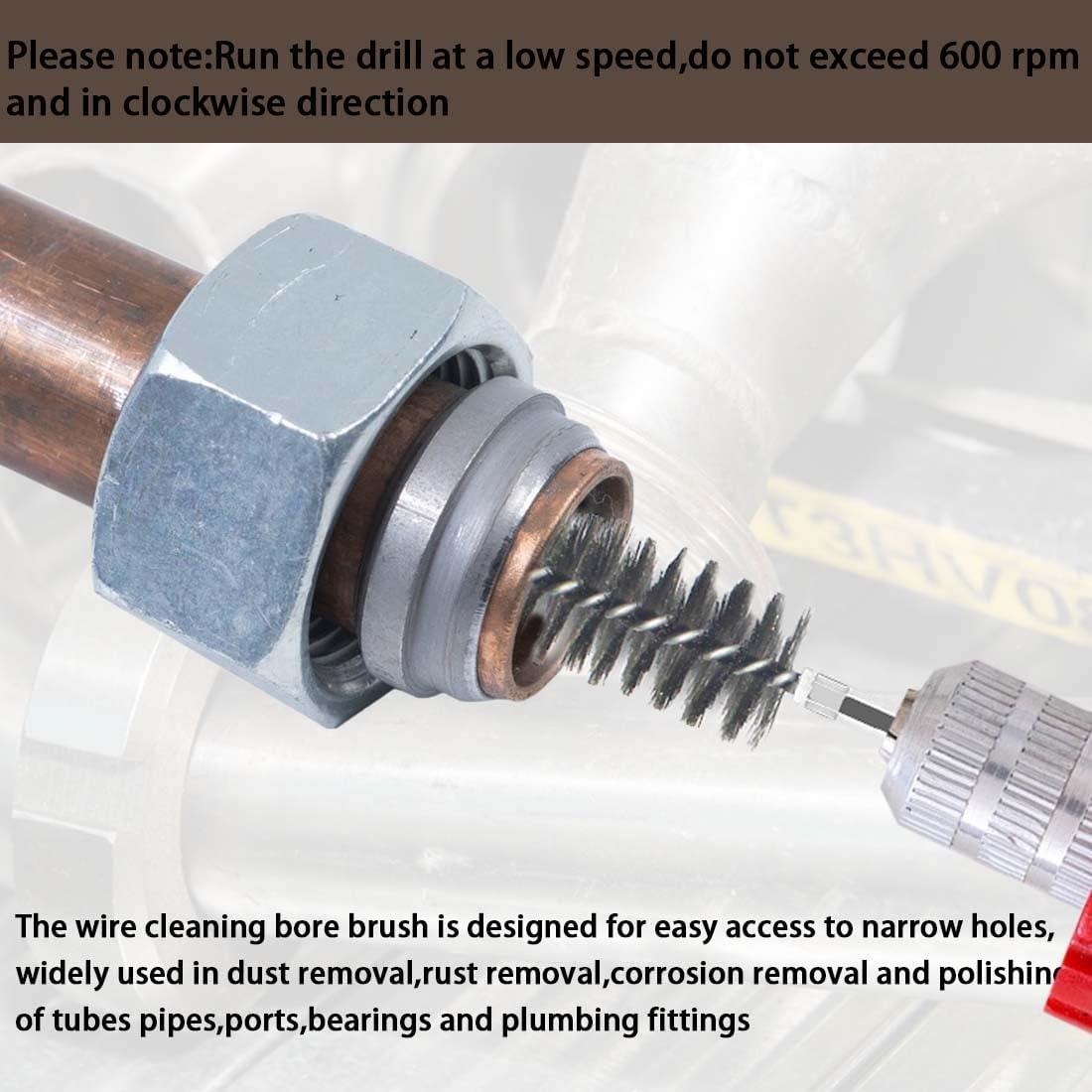 5 Piezas Cepillo de Acero Inoxidable Lehood 15mm 25mm