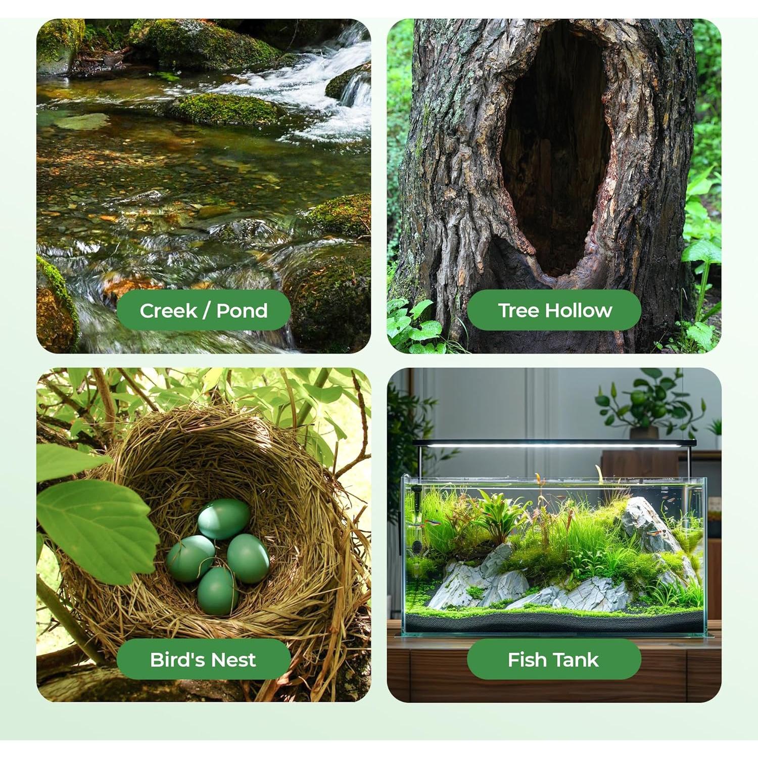 Cámara de Endoscopio Recargable para Niños G21 Verde Pale