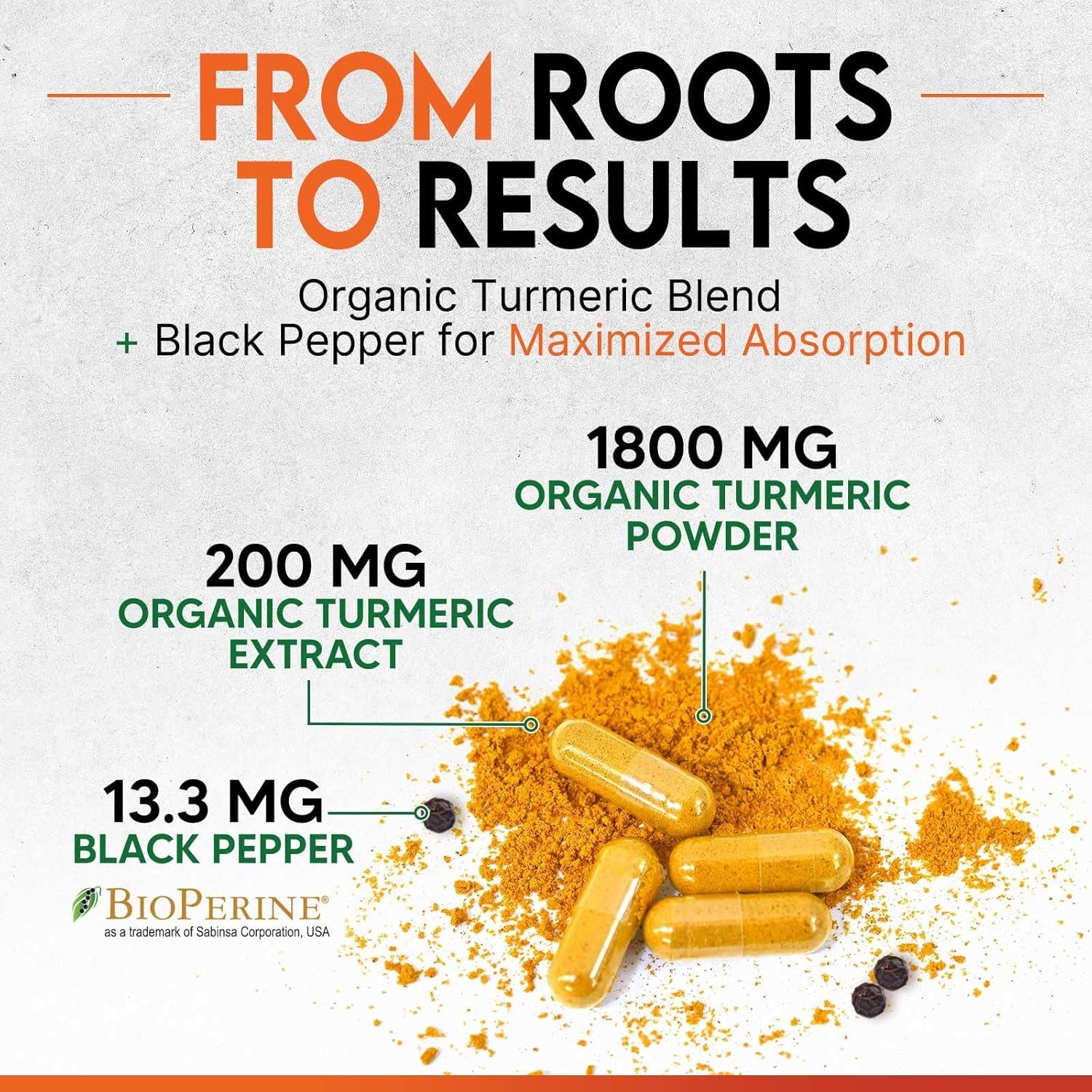 Suplemento de Cúrcuma Curcumina 2000mg Nature - 120 Cápsulas