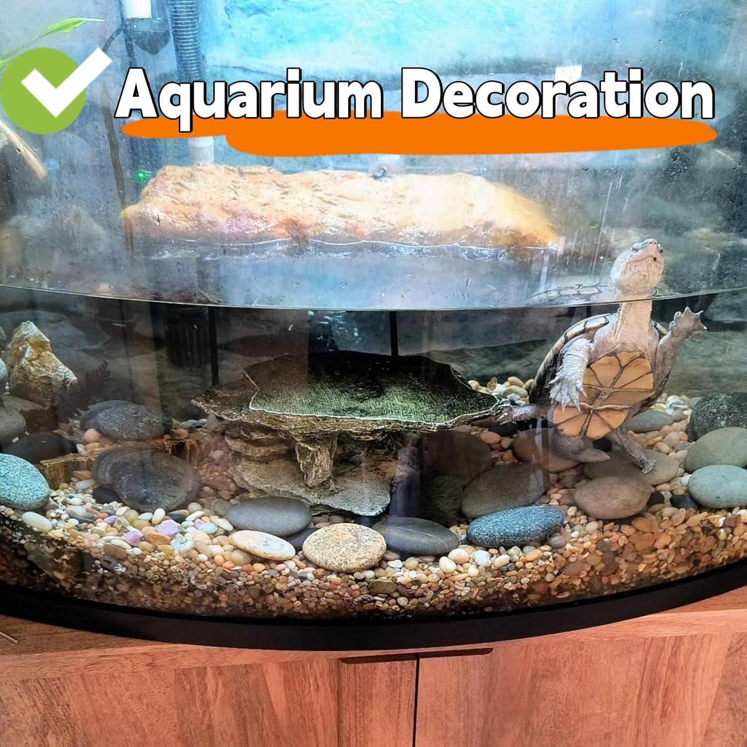 15 Rocas Grandes para Pintar Lifetop 8.9-11.4 cm Suaves