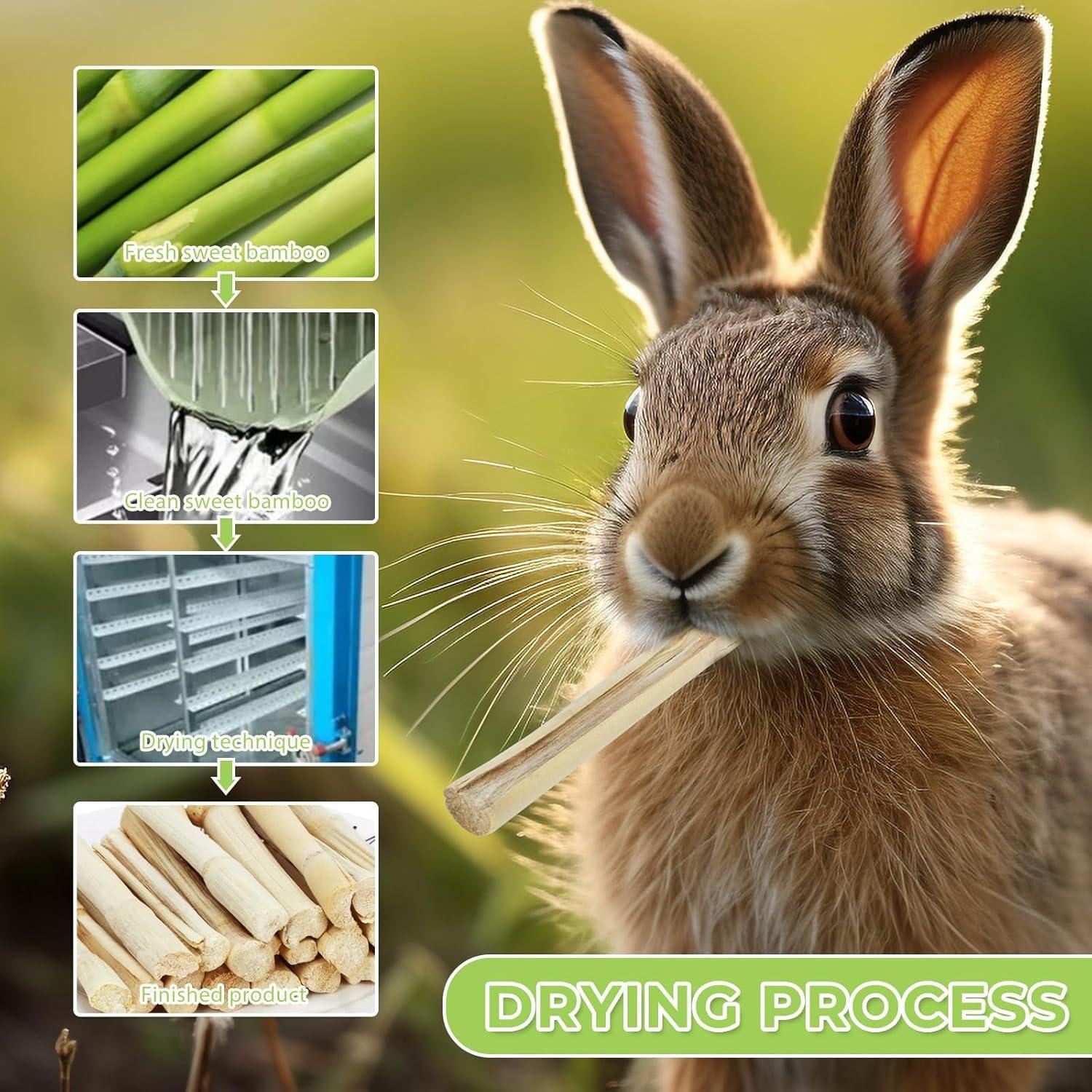 Juguete de Masticar de Bambú Natural WYOMER 445g para Mascotas