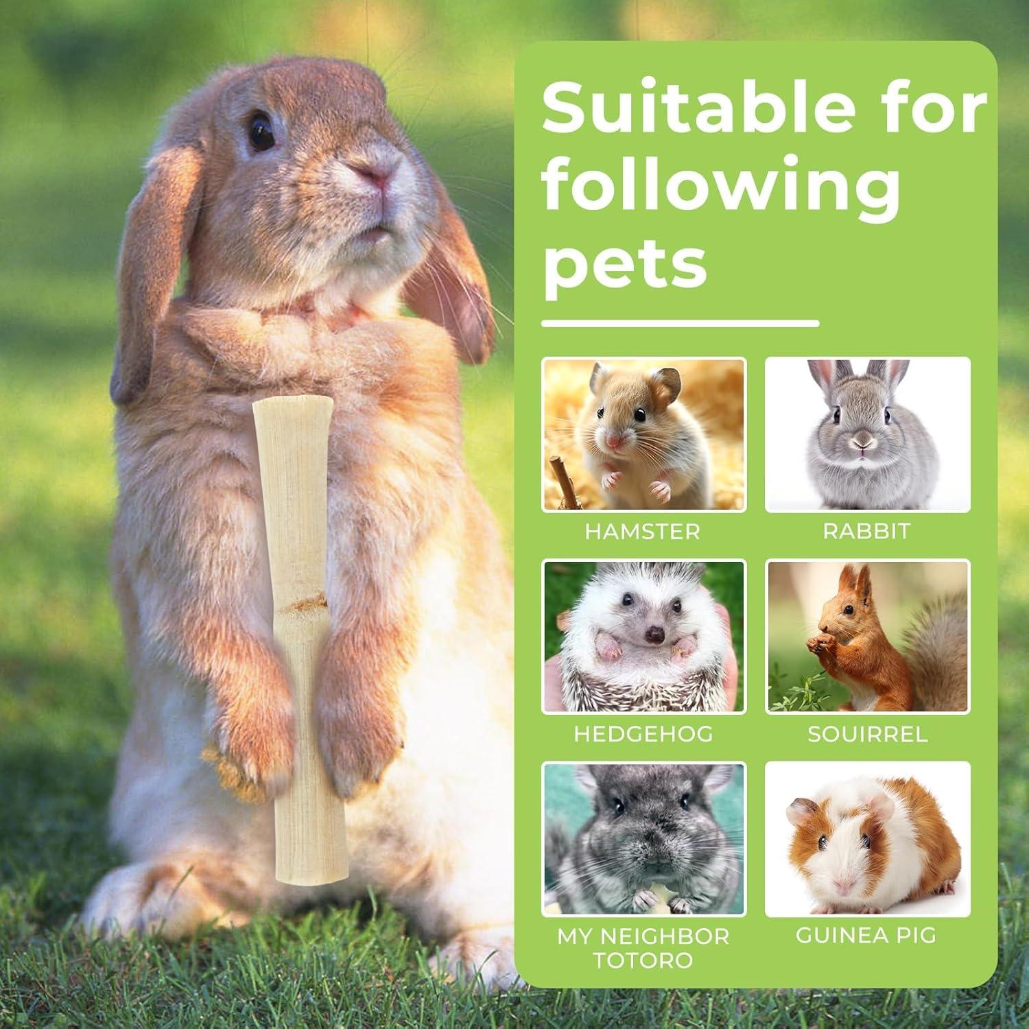 Juguete de Masticar de Bambú Natural WYOMER 445g para Mascotas