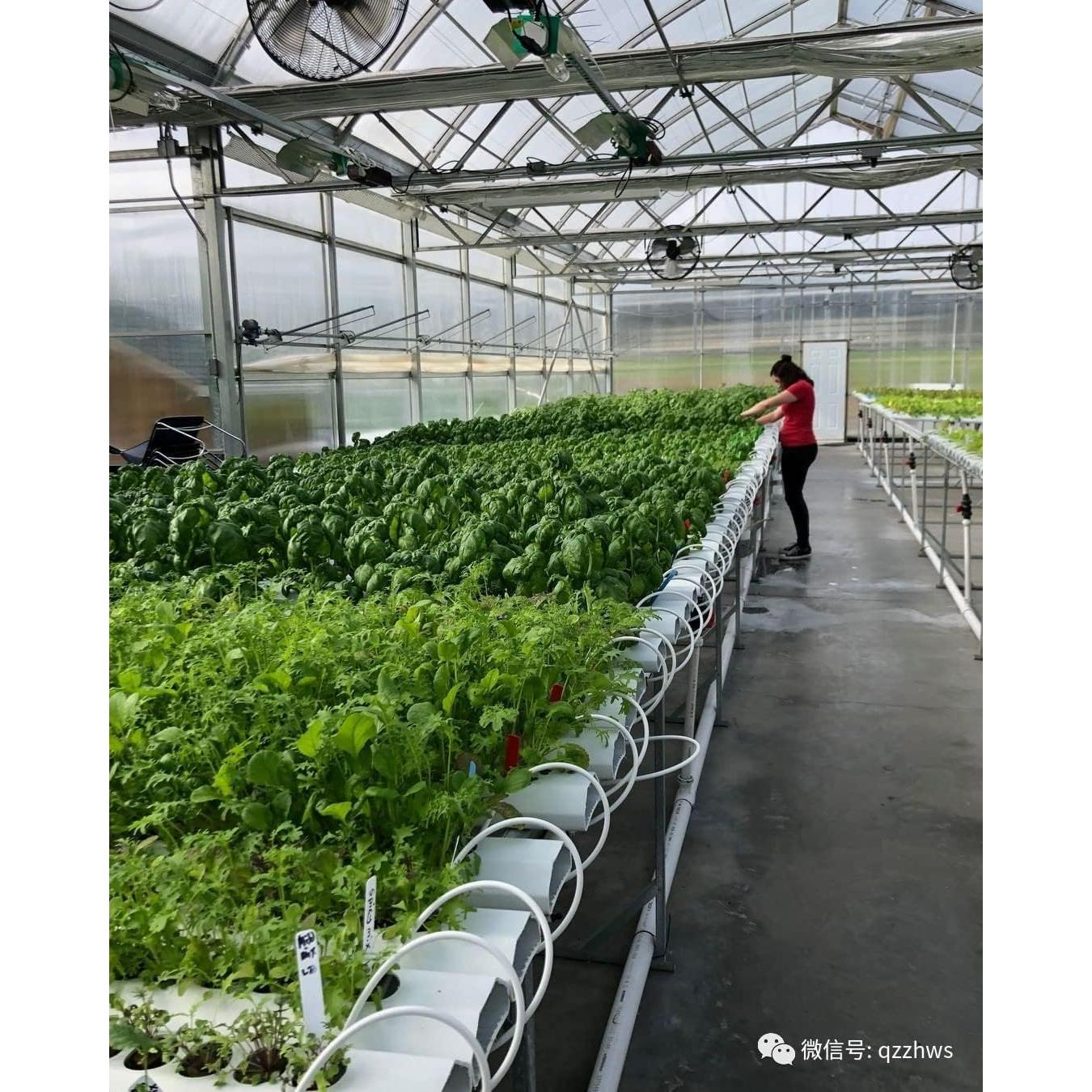 100 Macetas de Malla Hidropónicas JpGdn 4.49cm Negro