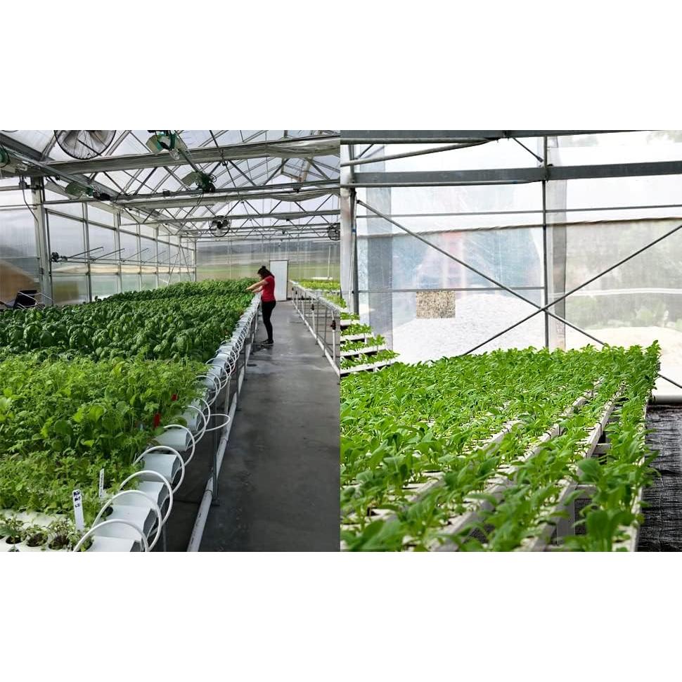 100 Macetas de Malla Hidropónicas JpGdn 4.49cm Negro