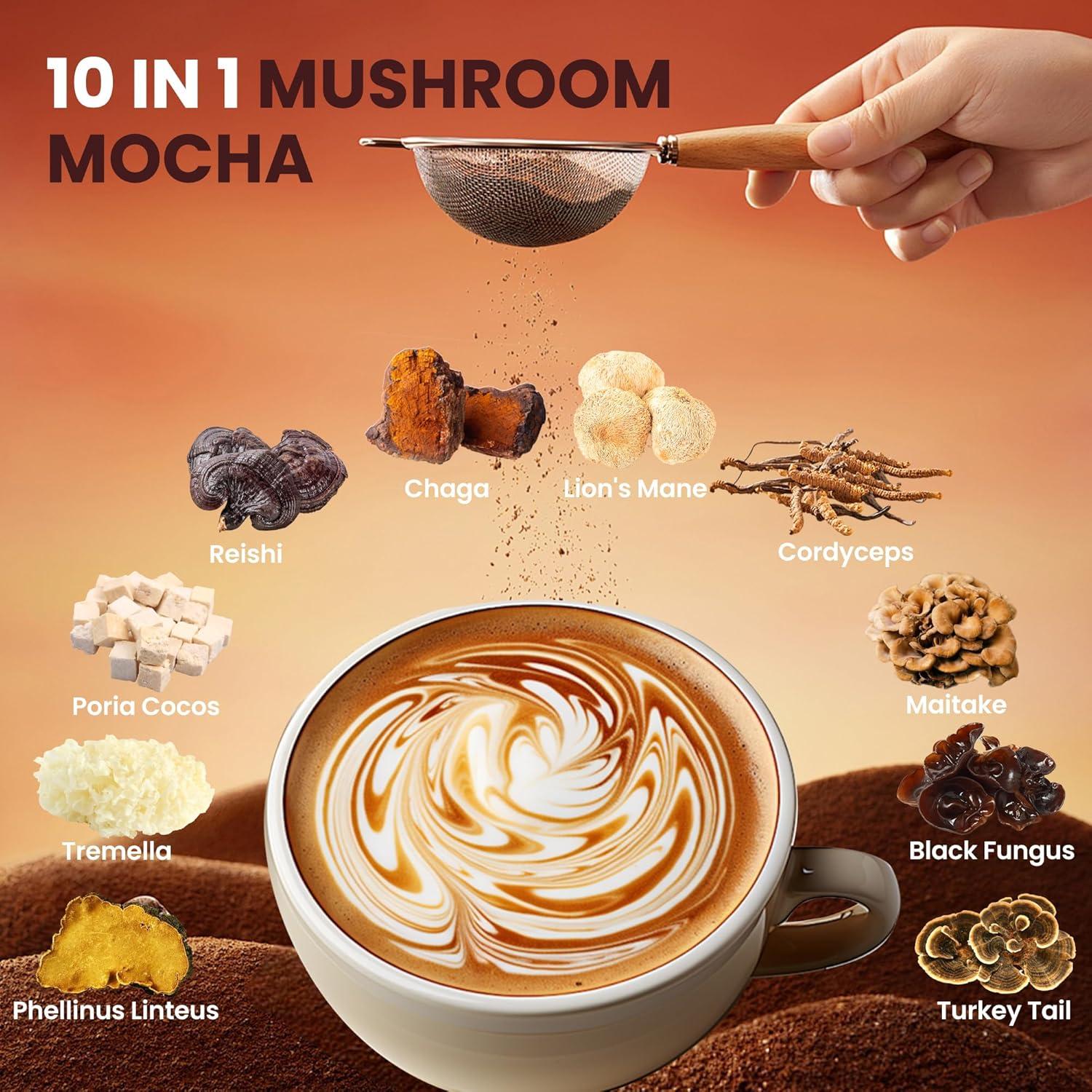 Café Mocha de Champiñones 10 en 1 QIN SHAN TANG 180g