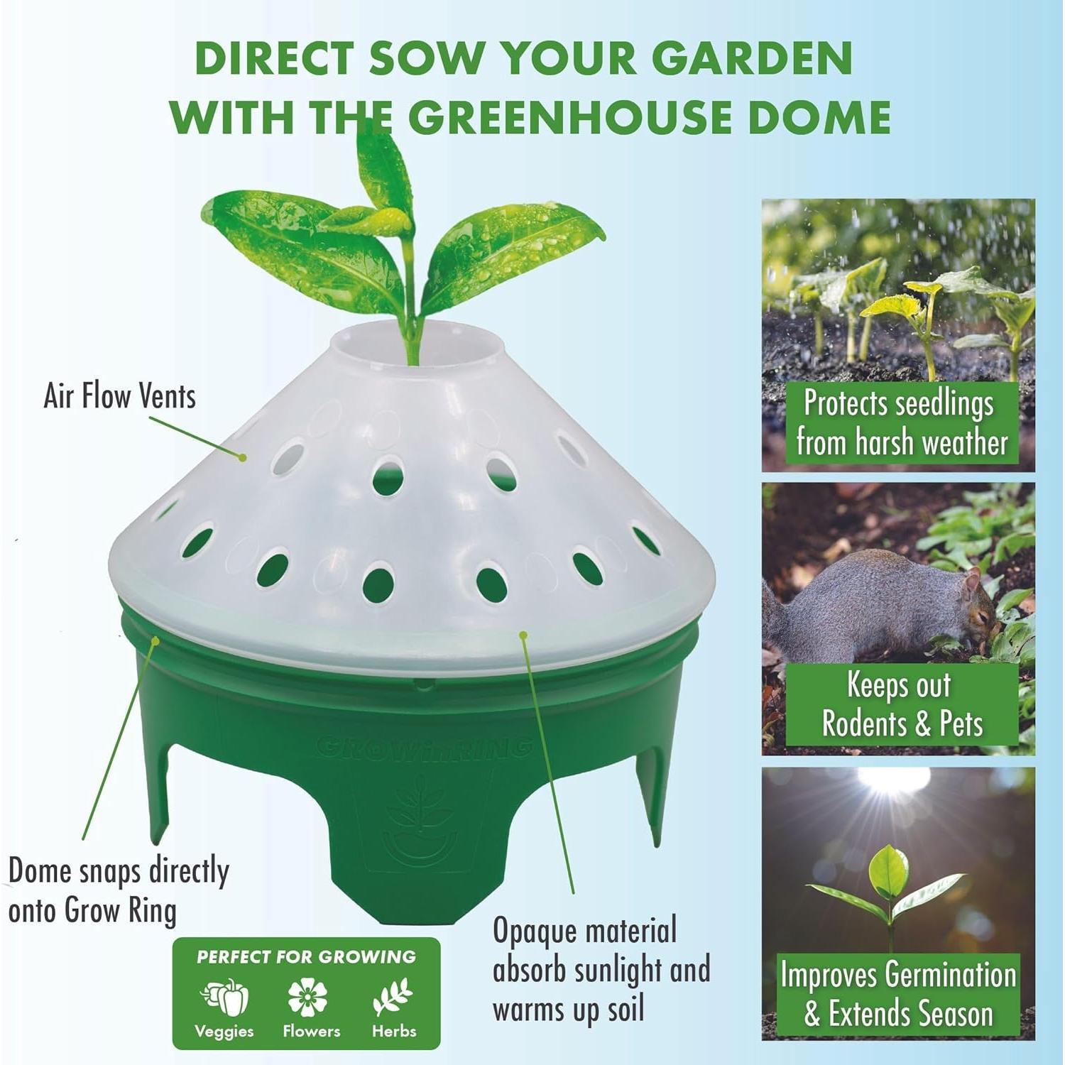 Kit de Jardín de Pepinos para Niños Rooted Promise - Semillas No-GMO