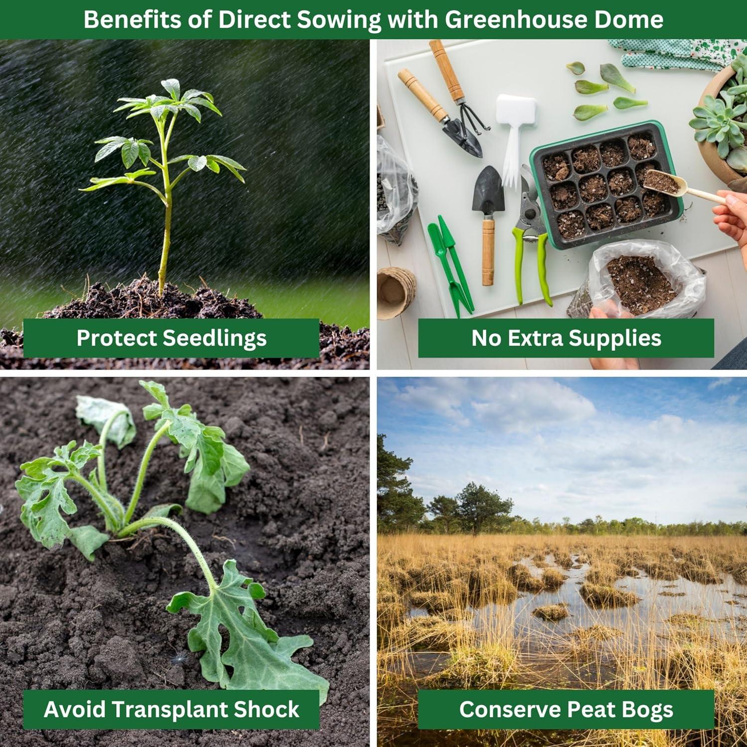 Kit de Jardín de Pepinos para Niños Rooted Promise - Semillas No-GMO