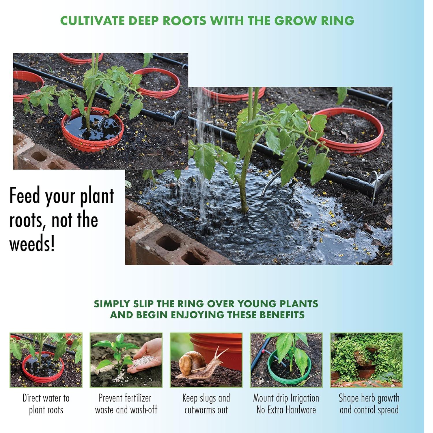 Kit de Jardín de Pepinos para Niños Rooted Promise - Semillas No-GMO