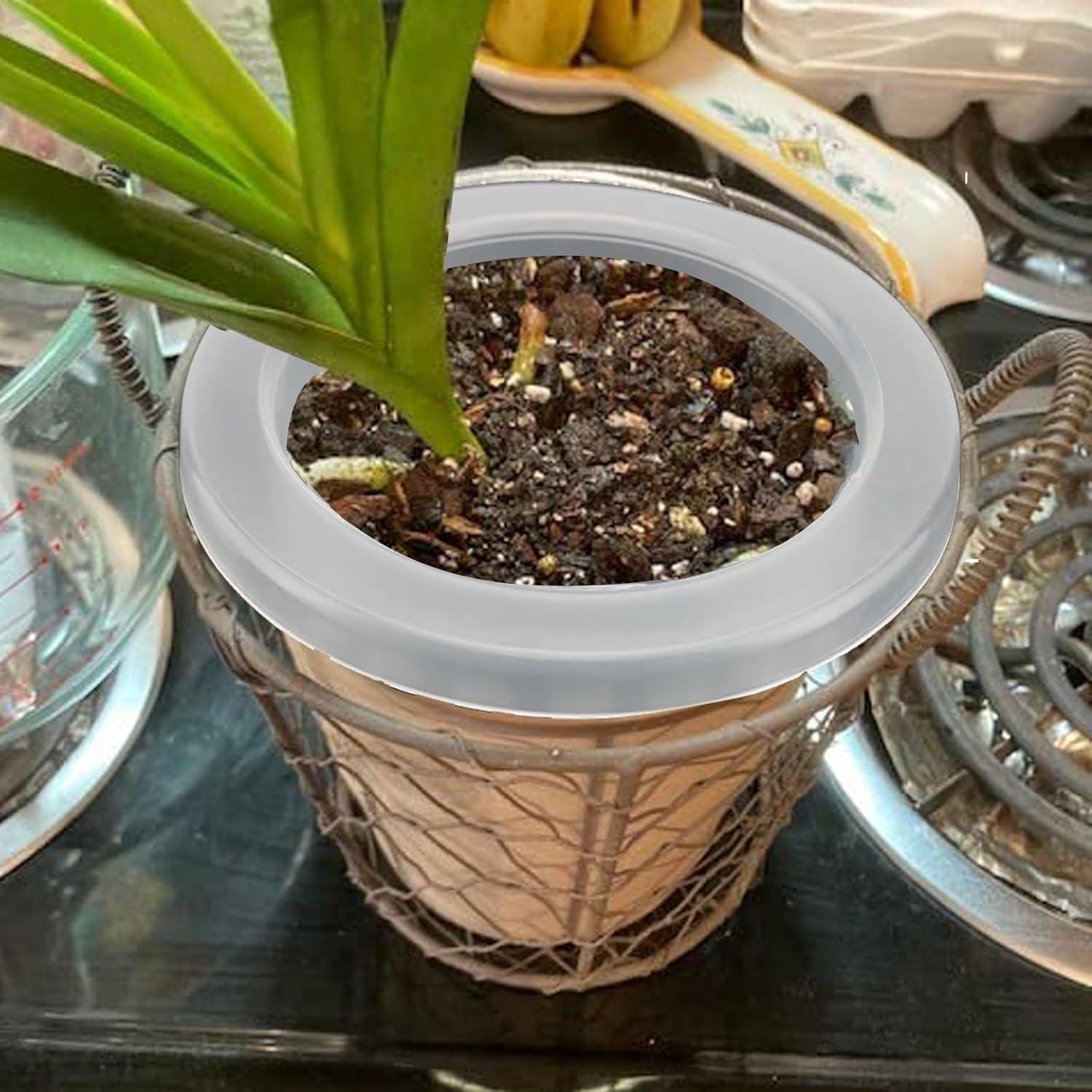 JOIKIT 50 Macetas de Plástico Transparentes 10.16 cm Hidroponía