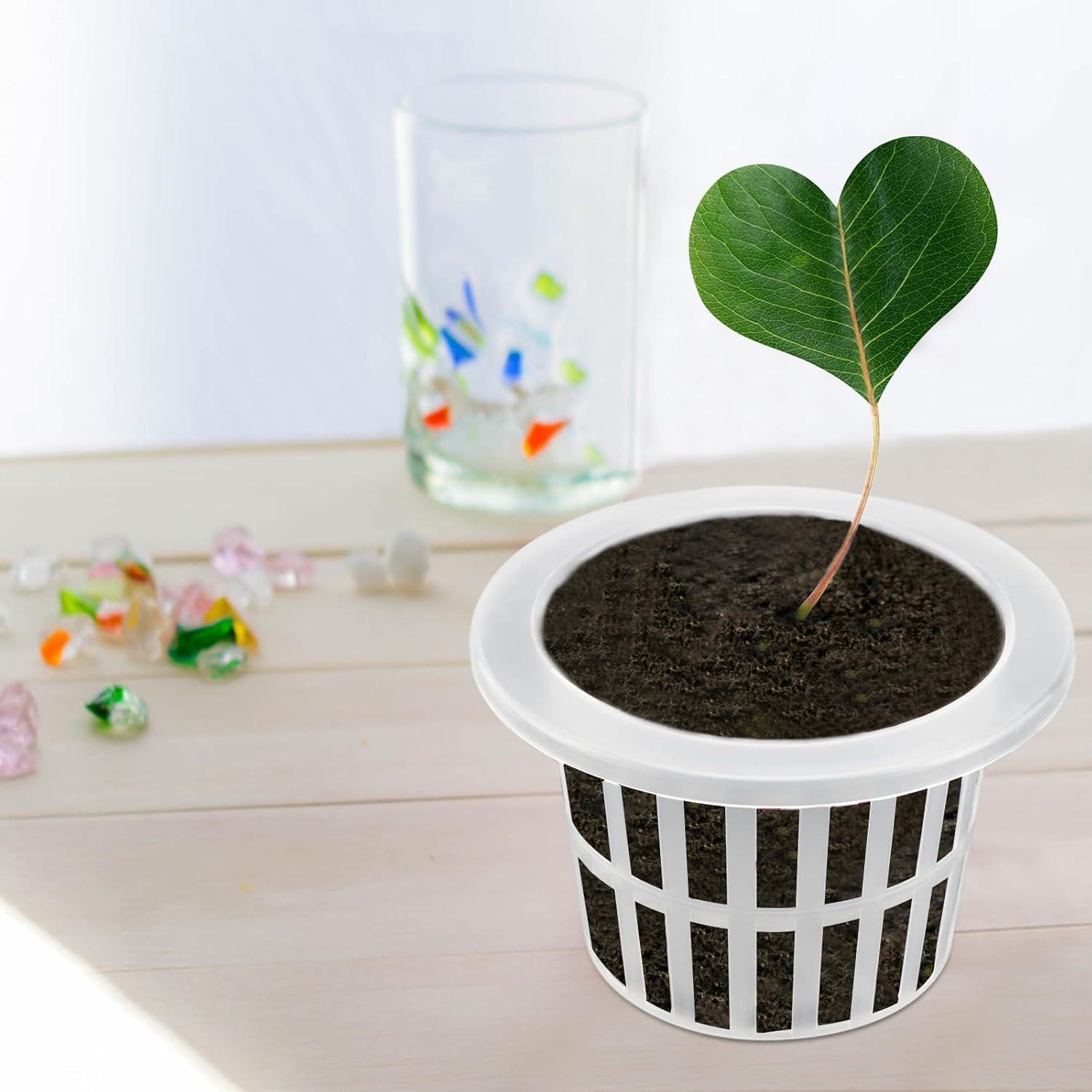 JOIKIT 50 Macetas de Plástico Transparentes 10.16 cm Hidroponía