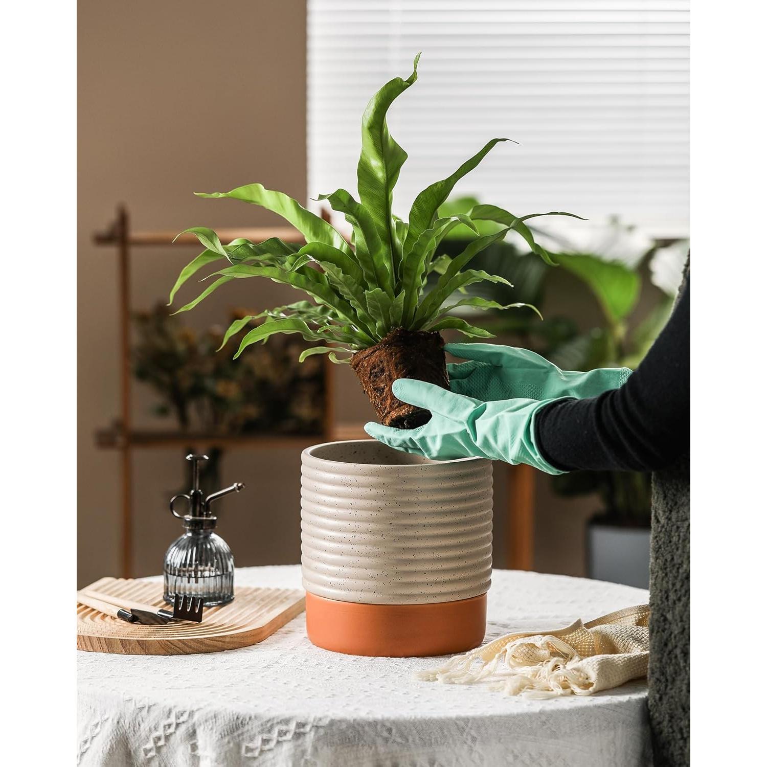 Maceta Autorriego Chubacoo Cerámica 20 cm Beige y Terracota