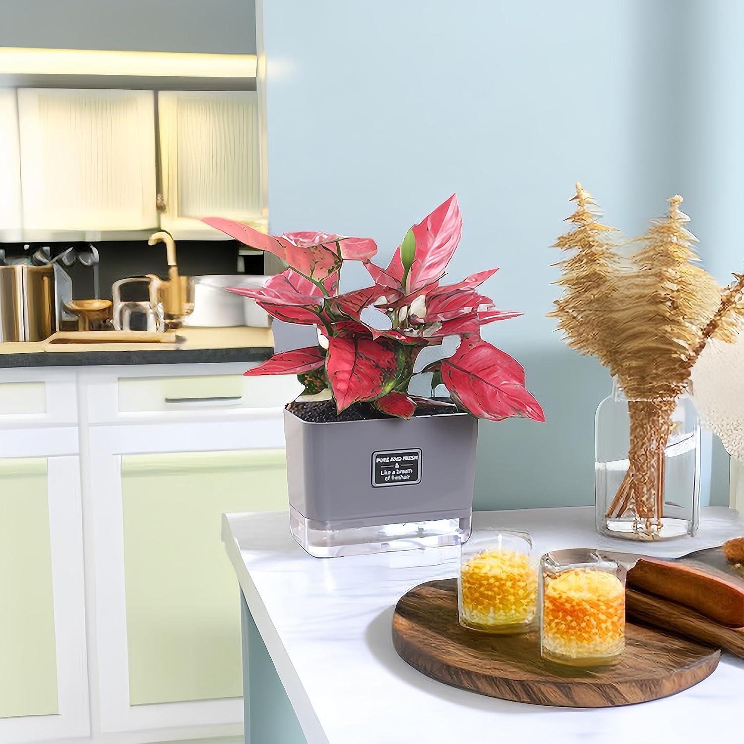 Macetas Autorriego FAMZ 4 Pack 18 cm Gris para Plantas