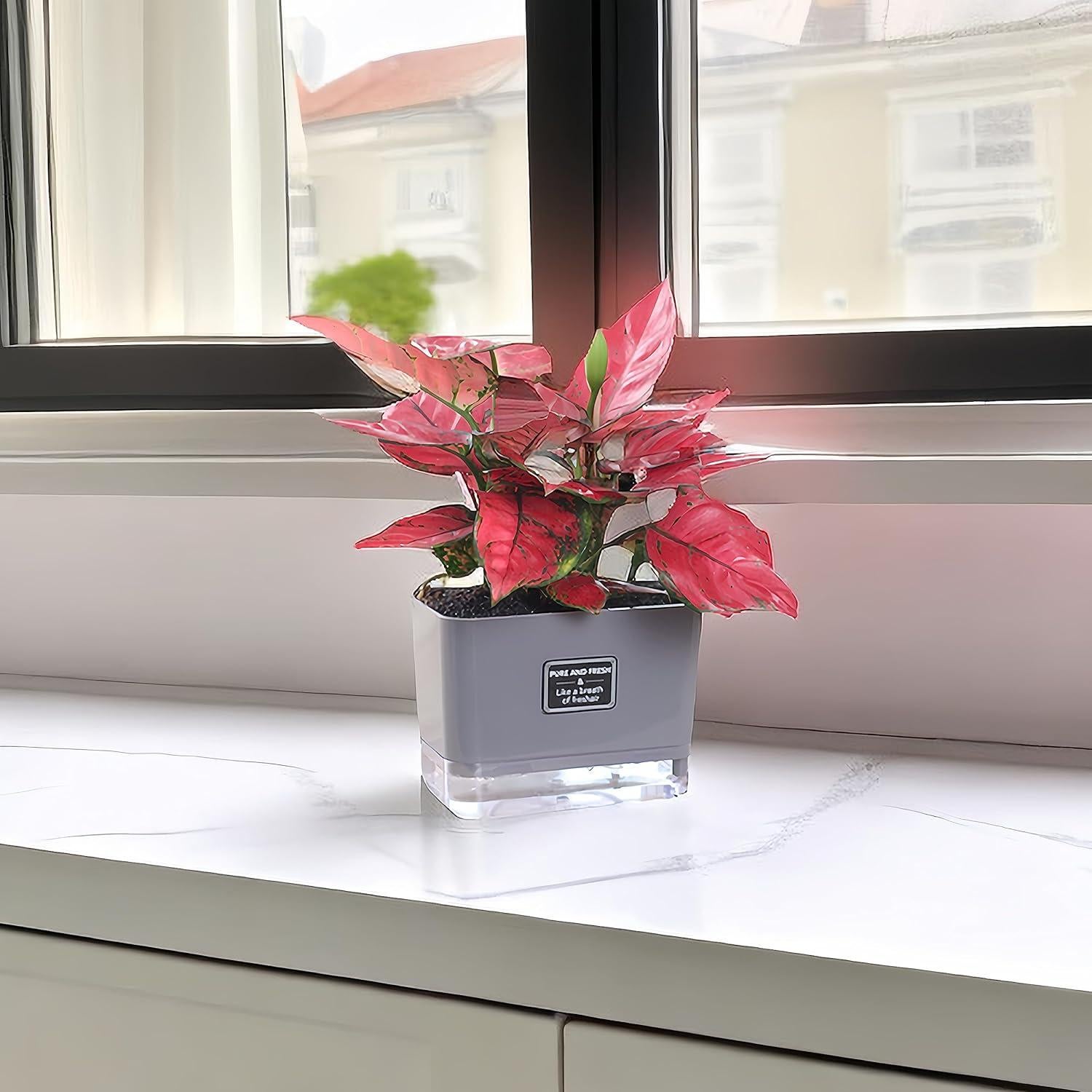 Macetas Autorriego FAMZ 4 Pack 18 cm Gris para Plantas