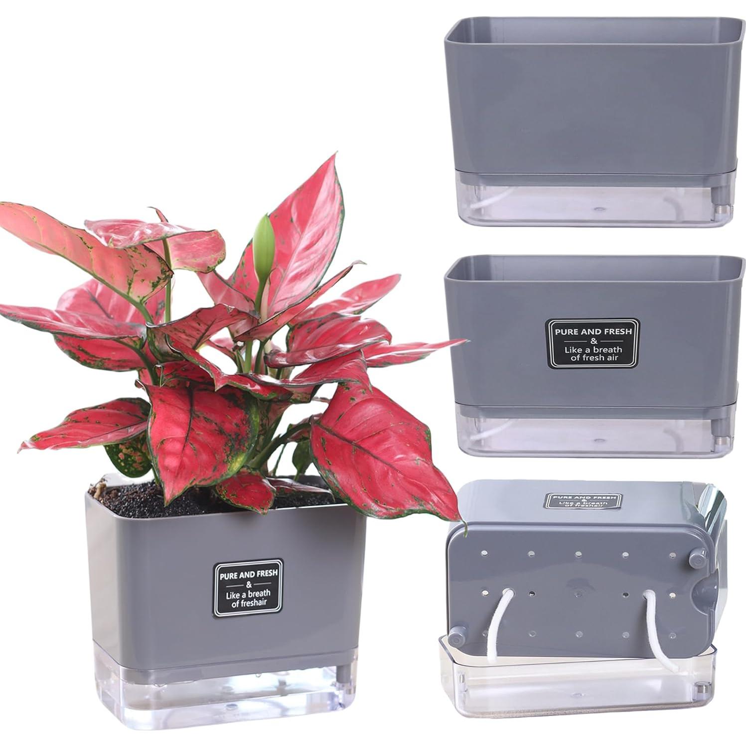 Macetas Autorriego FAMZ 4 Pack 18 cm Gris para Plantas