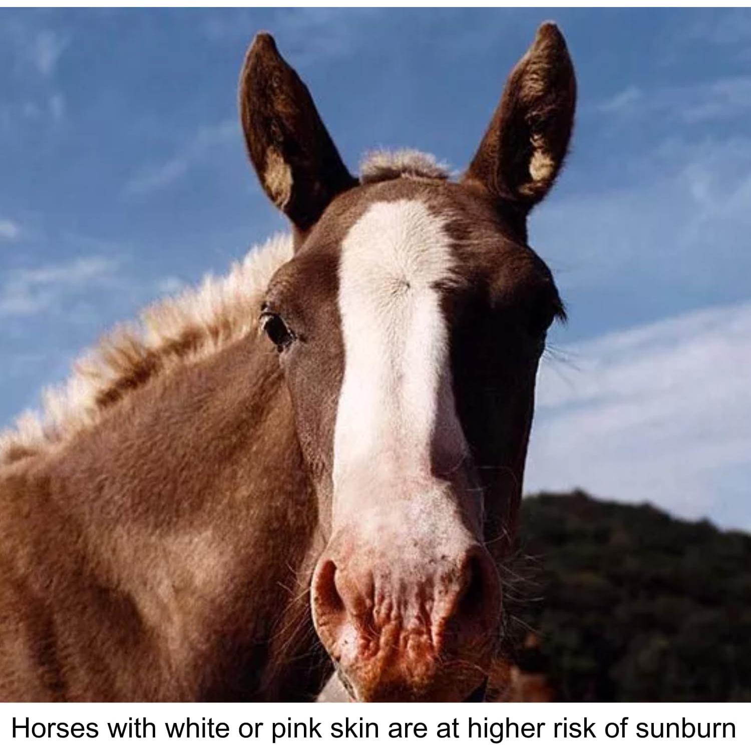 Protector Solar Natural para Caballos Pure Sole 56.7 g