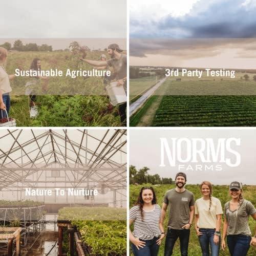 Gomitas de Saúco Orgánicas Norm's Farms - Inmunidad Diaria 60 Unidades