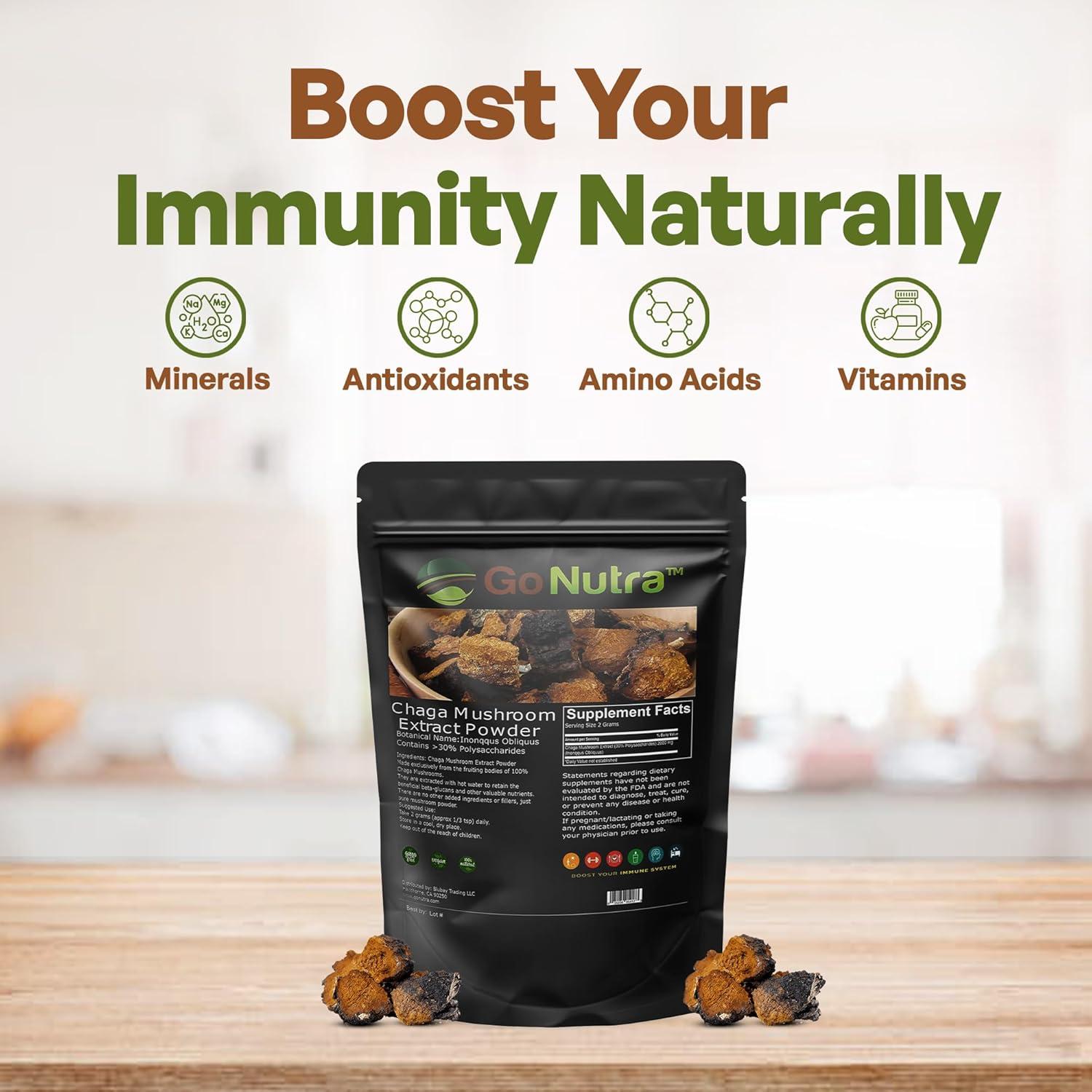 Go Nutra Polvo de Hongo Chaga 113g | Extracto 10:1 | 30% Polisacáridos