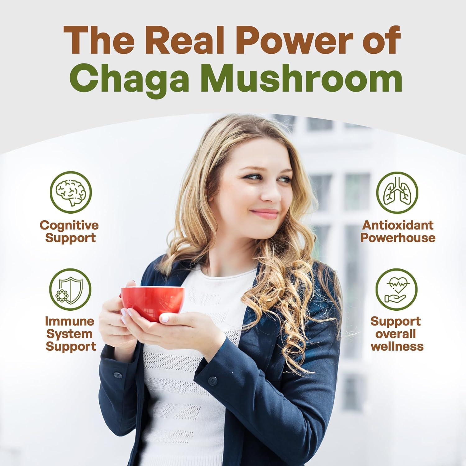 Go Nutra Polvo de Hongo Chaga 113g | Extracto 10:1 | 30% Polisacáridos