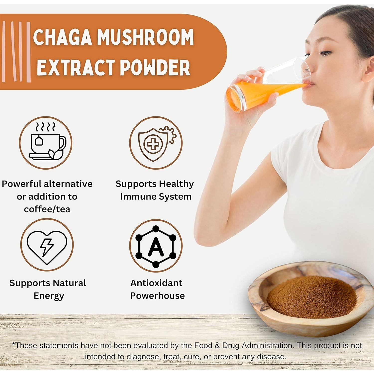 Go Nutra Polvo de Hongo Chaga 113g | Extracto 10:1 | 30% Polisacáridos