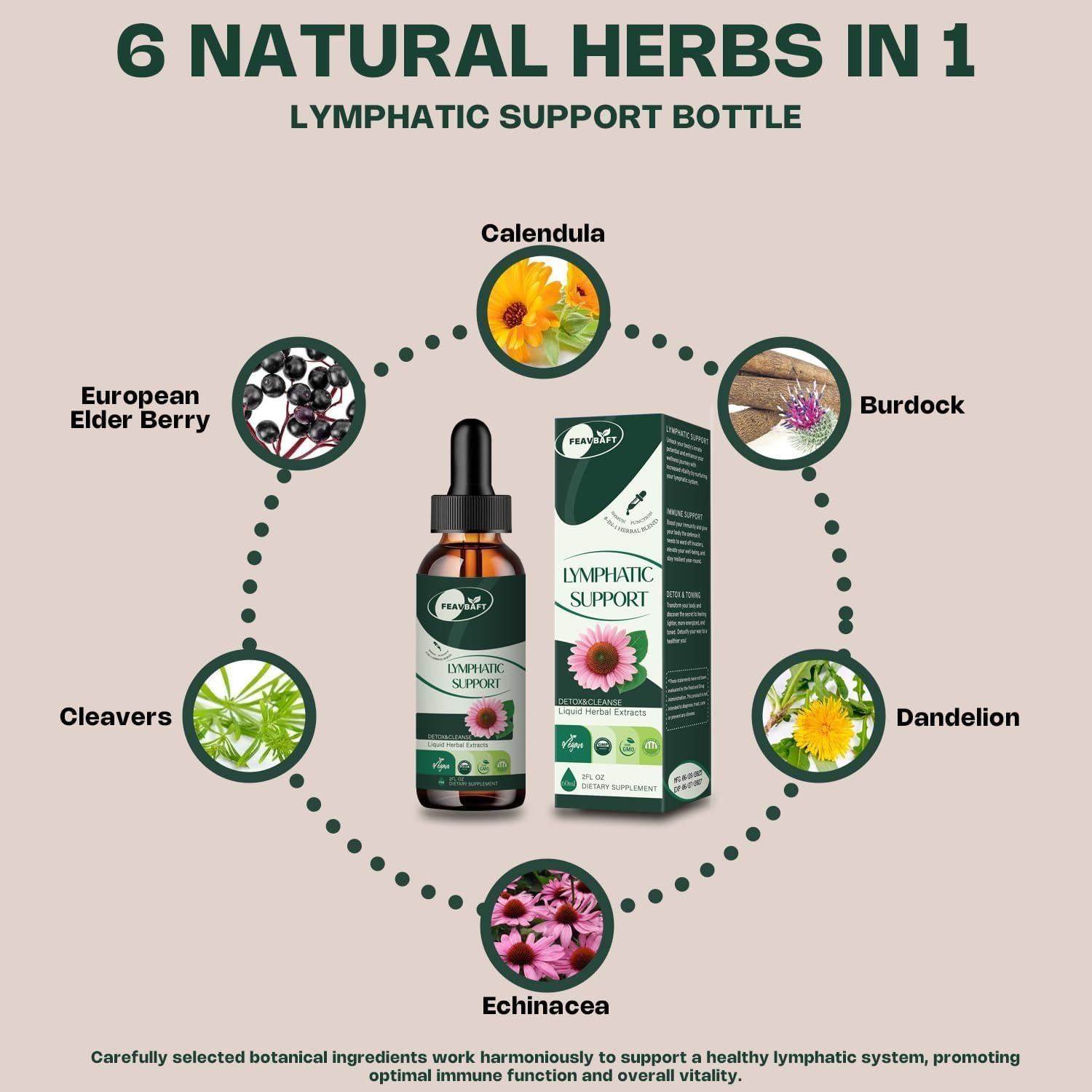 Gotas Liposomales Drenaje Linfático FitEval 59.15 ml