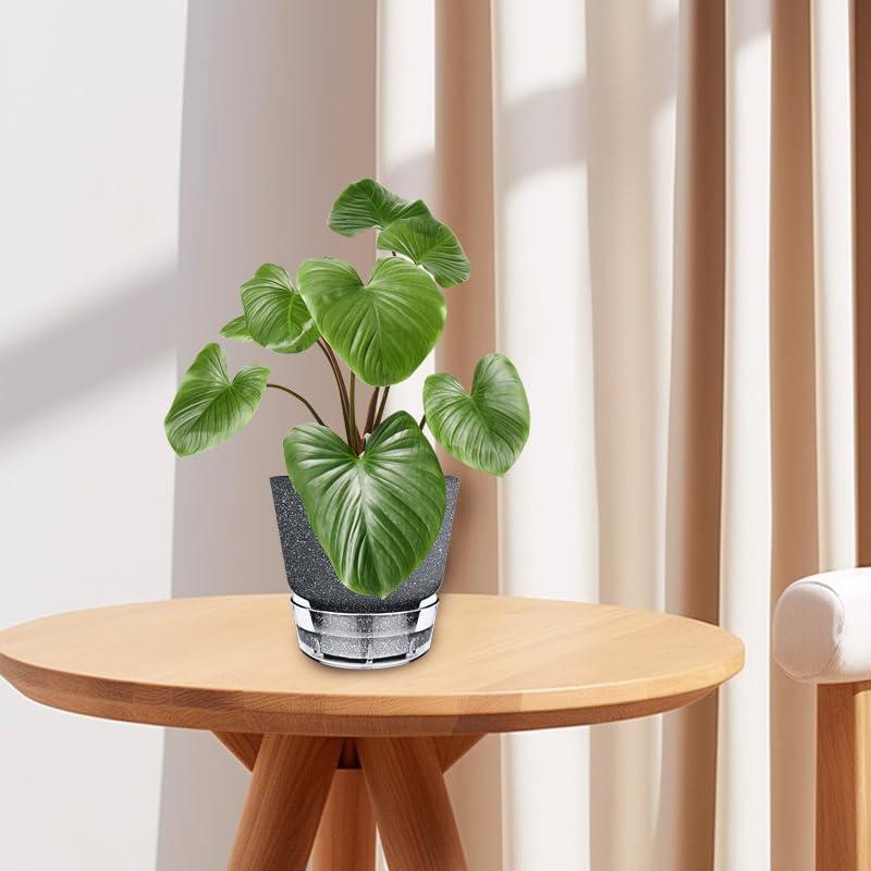 Maceta Autorriego HYNZ 15 cm 5 Piezas Negro Frosted