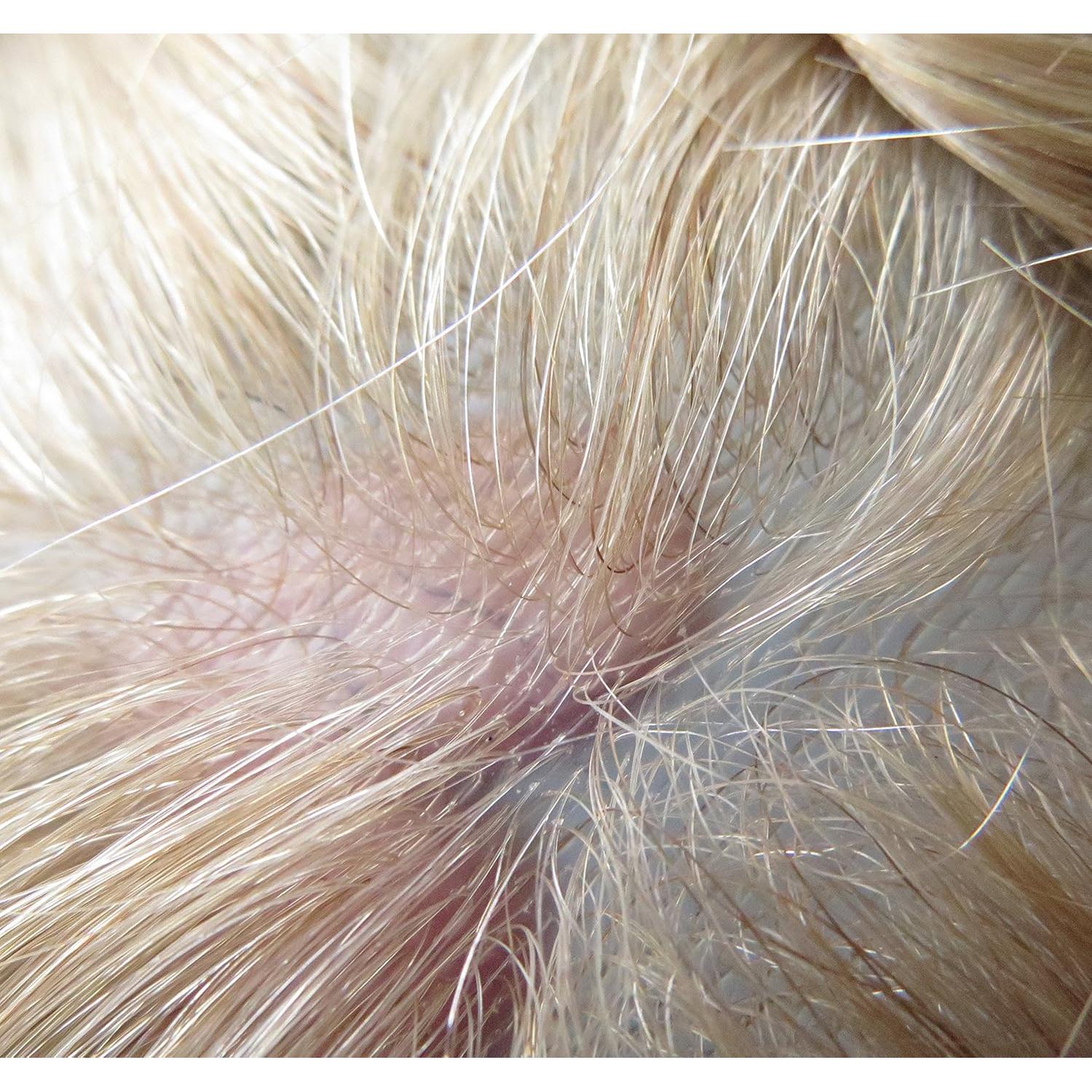 Toupee para hombres Hair Nature 20x25cm cabello humano rubio