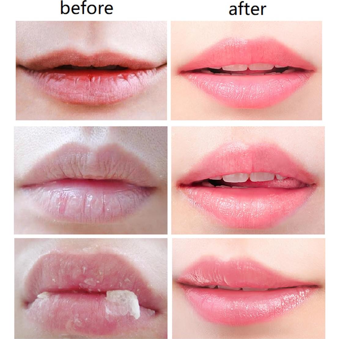 Bálsamo Labial de Miel 4 PCS WenFeng Hidratante y Nutritivo