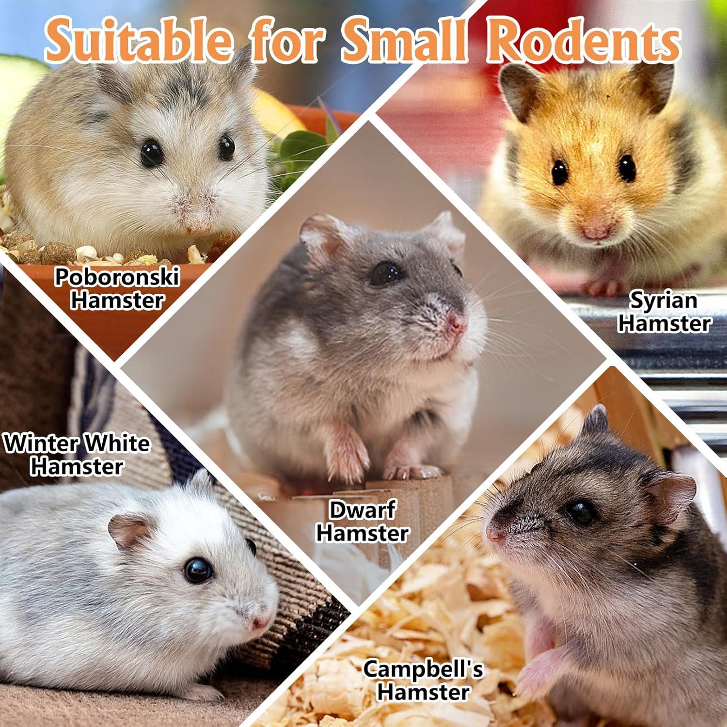 Escondite de Madera Tfwadmx para Hámsters Pequeños con Rampa