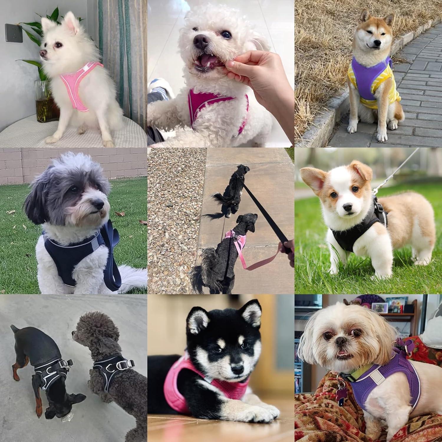 Arnés Reflectante para Perro PWOD XL Negro Carbón Ajustable