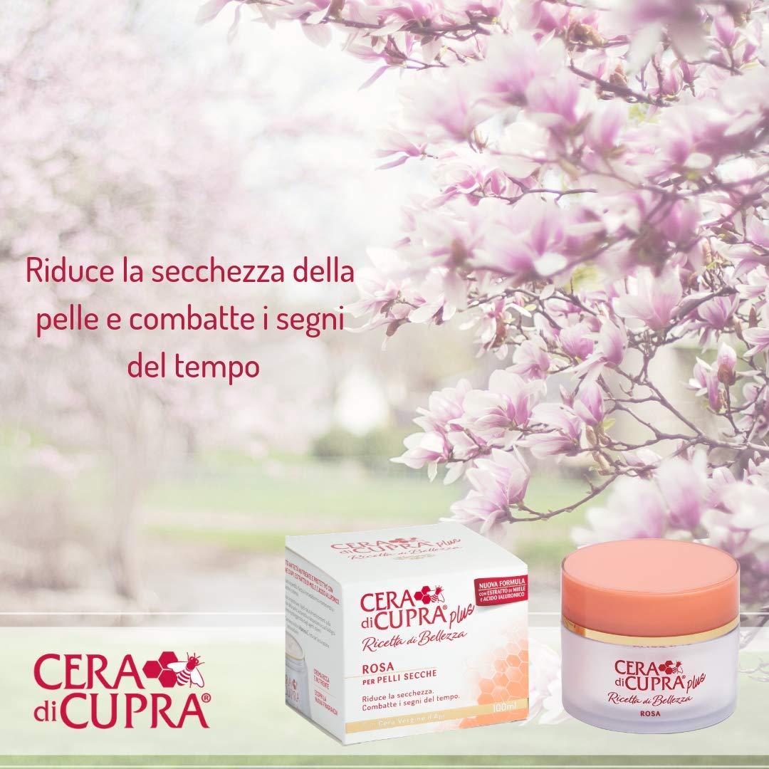 Crema Anti-edad Plus Rosa 100ml para Piel Seca - Importada