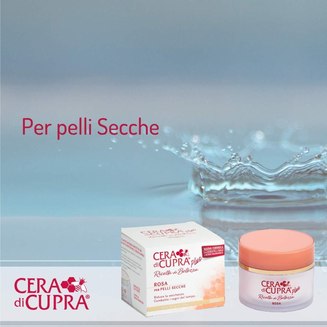 Crema Anti-edad Plus Rosa 100ml para Piel Seca - Importada