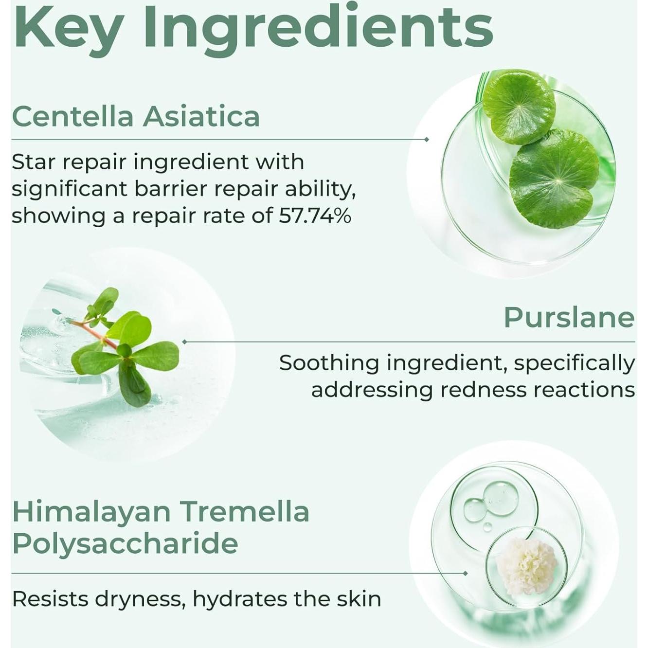 Mascarilla Hidratante Centella Asiática CHANDO 520mg 5Pcs