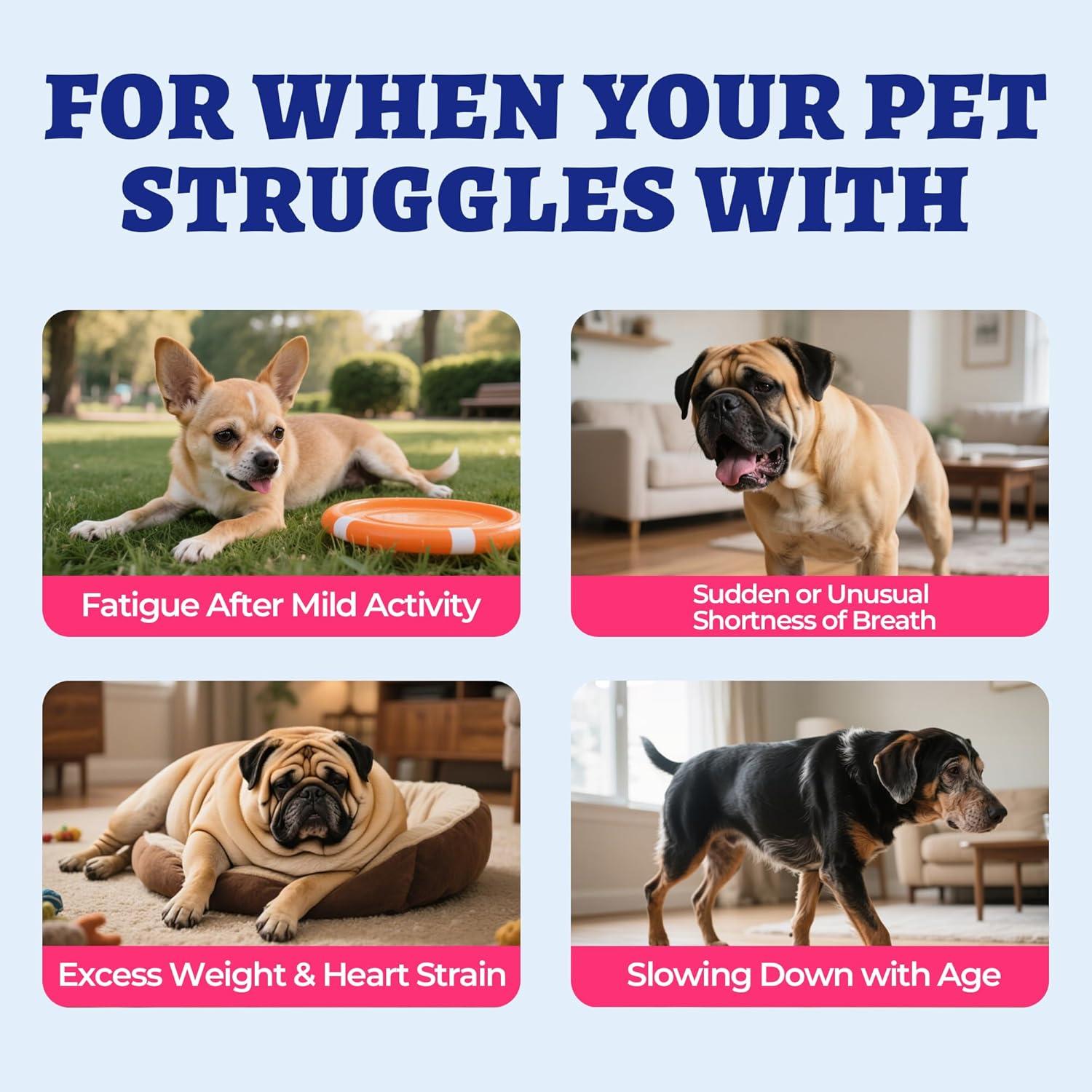 Wellix Cardio Bites 260 Bites - Suplemento Corazón Perros