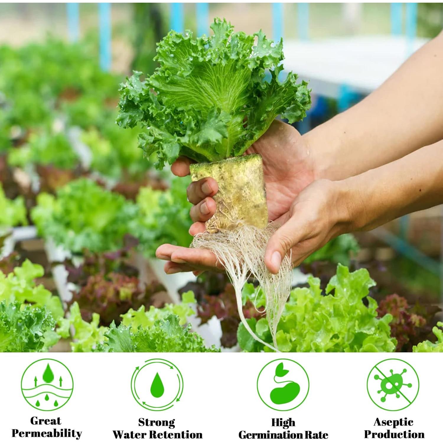 Cubos de Lana de Roca Legigo 1 Pulgada para Hidroponía 100 Tapones