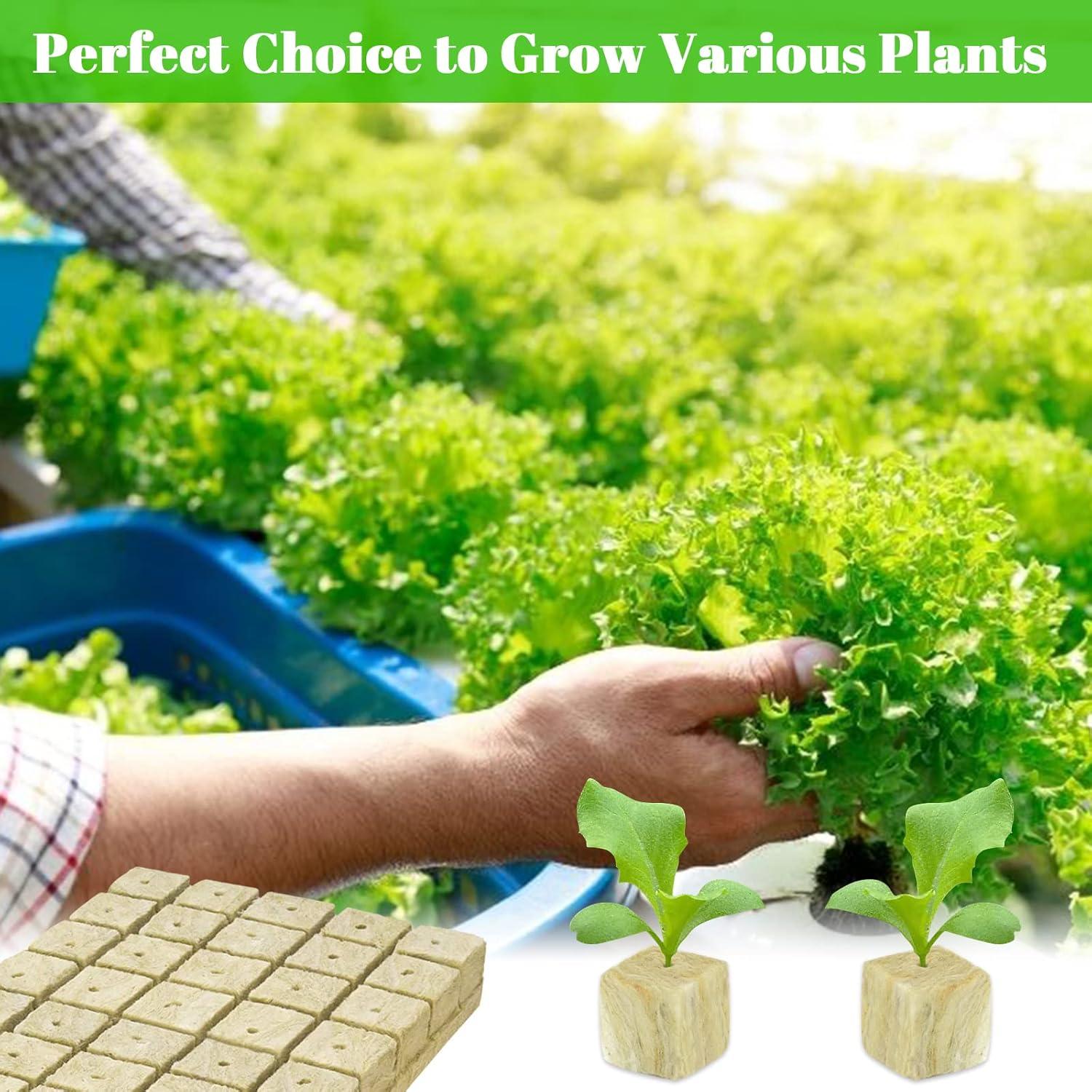 Cubos de Lana de Roca Legigo 1 Pulgada para Hidroponía 100 Tapones