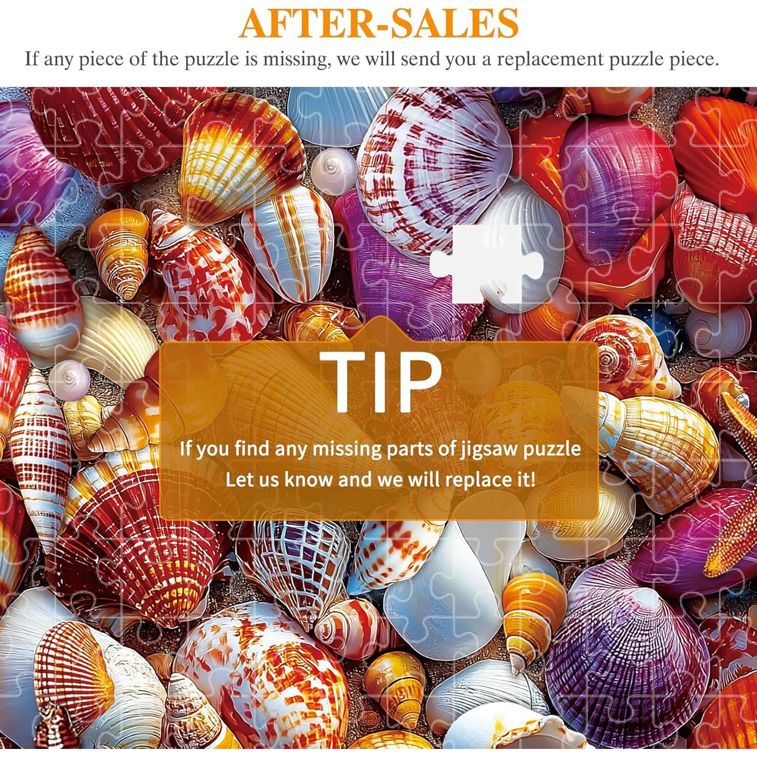 Rompecabezas de 1000 Piezas ALL4JIG Conchas Marinas