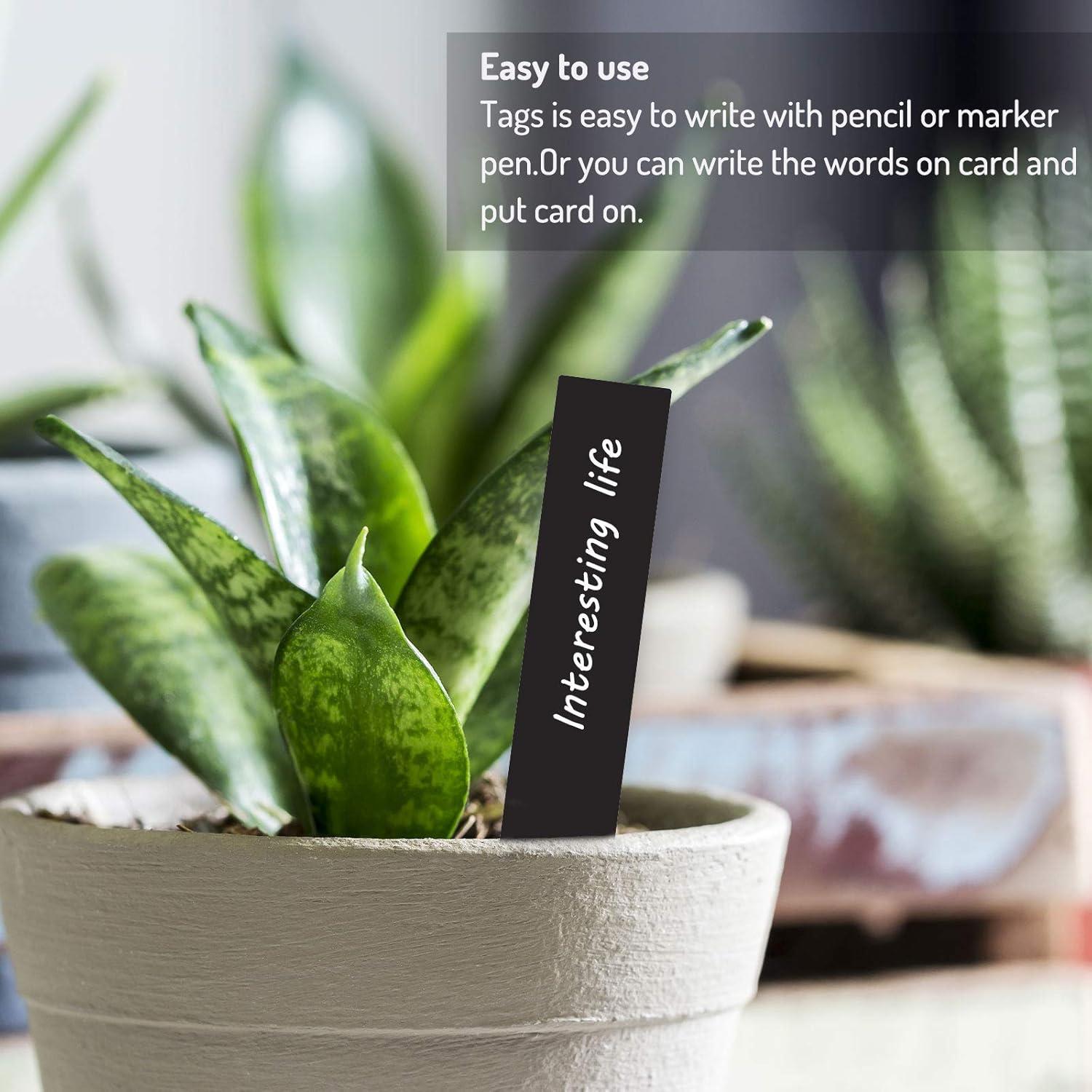 Etiquetas de Plástico para Plantas Whaline 200 Pcs 10x2 cm